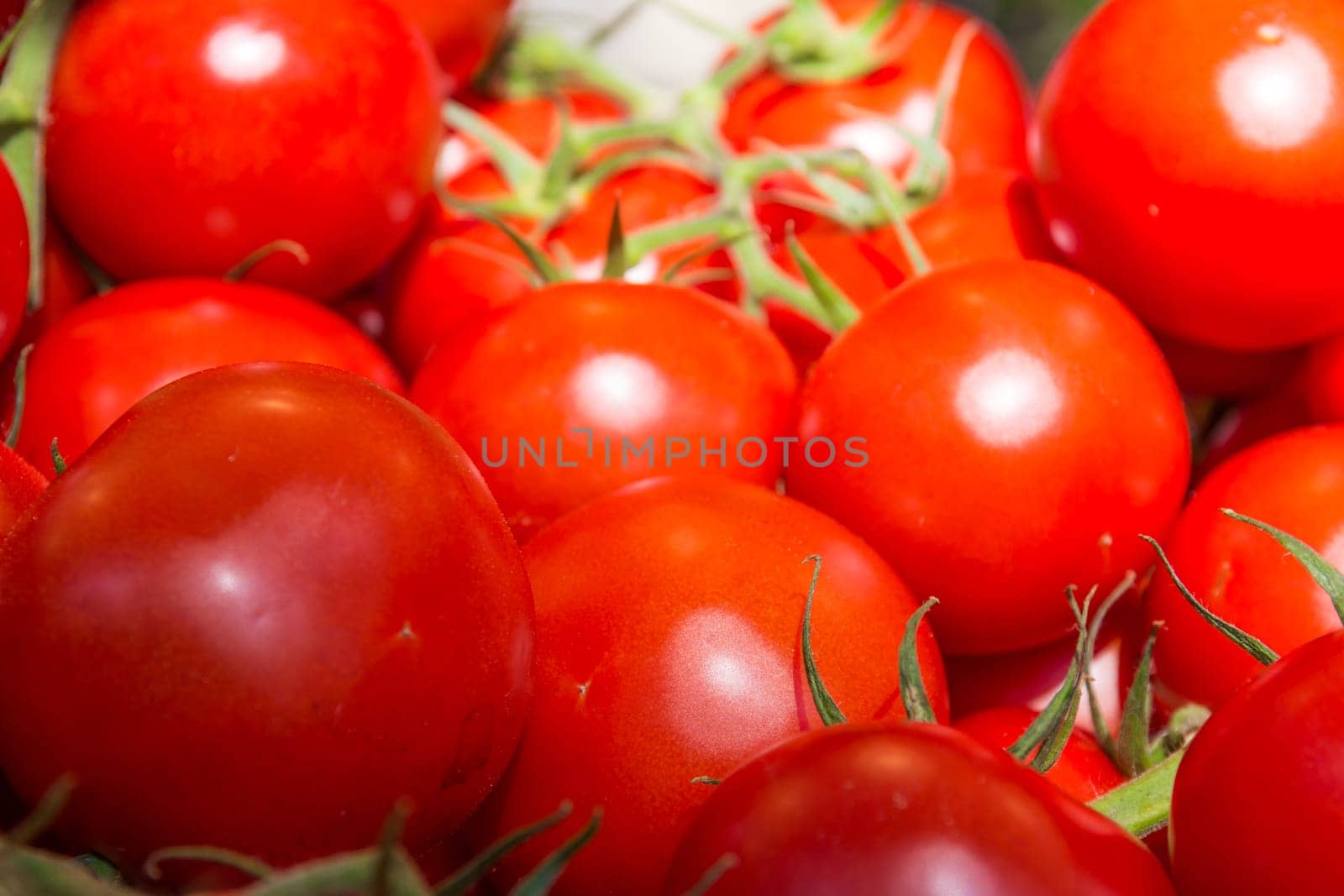 Macro of Bunch of Fresh Tomatoes at Local Market