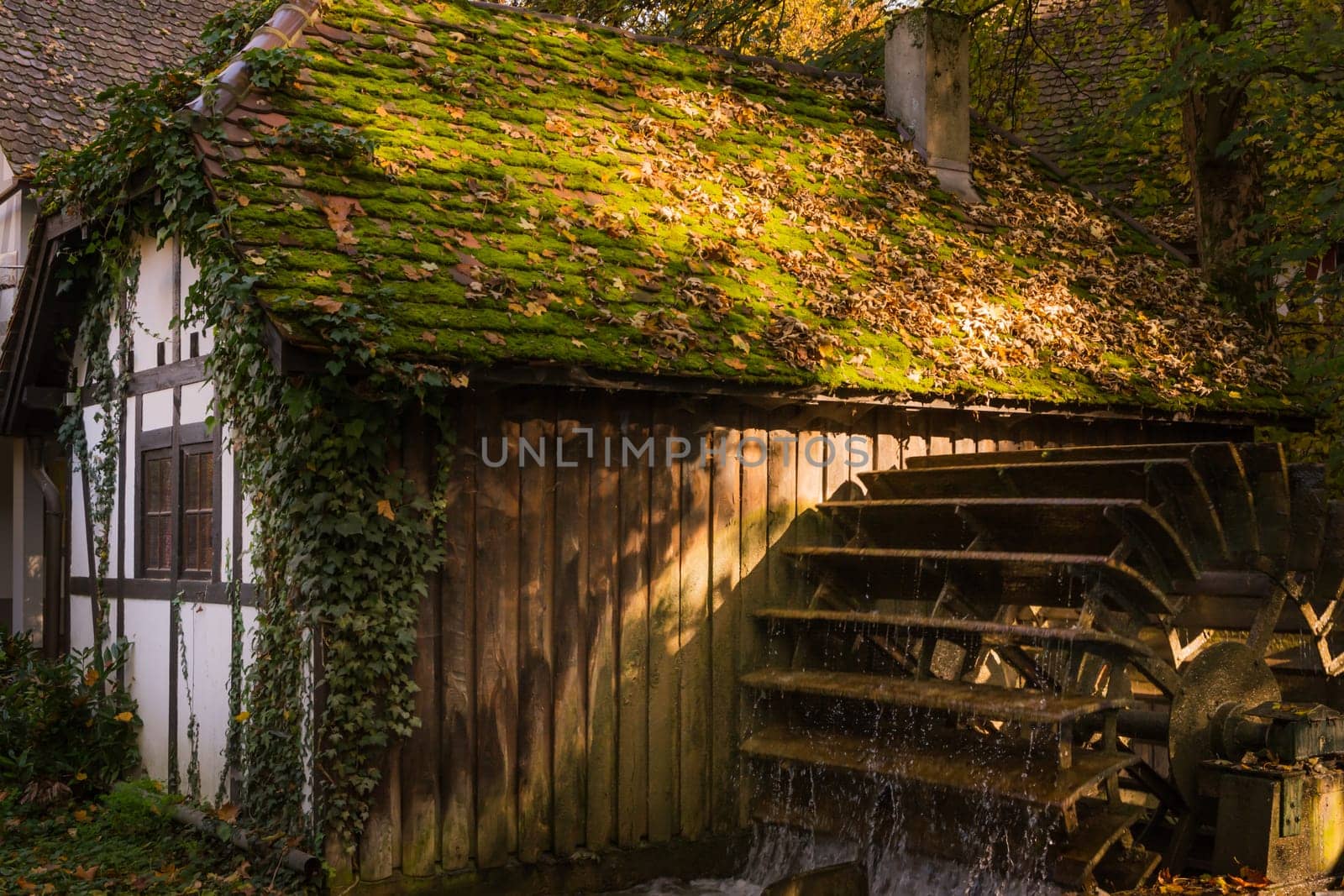 Half Timber House Cottage Village River Waterwheel Architecture Fairy Tale Building Forest Leaves Fantasy Warm Sunset Afternoon Cozy German European Story