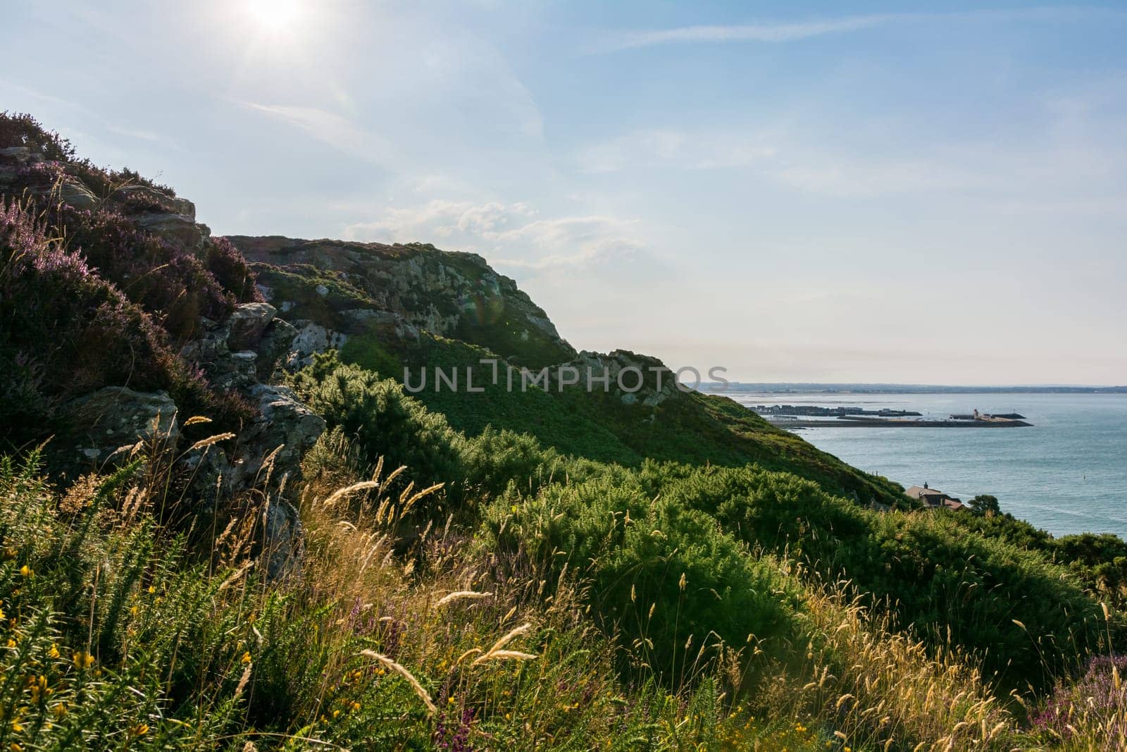 Howth Harbor Daytime Landscape Cliffside Nature Ireland