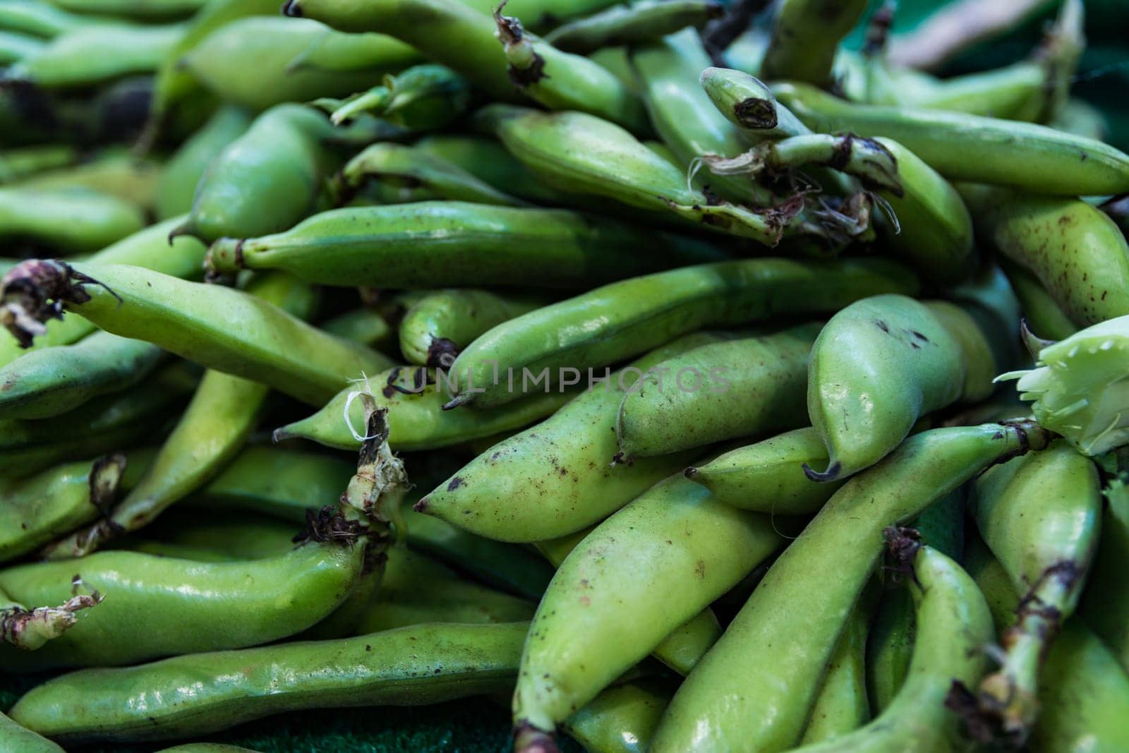 Large Green Beans Market Local Food Farmer Fresh Organic