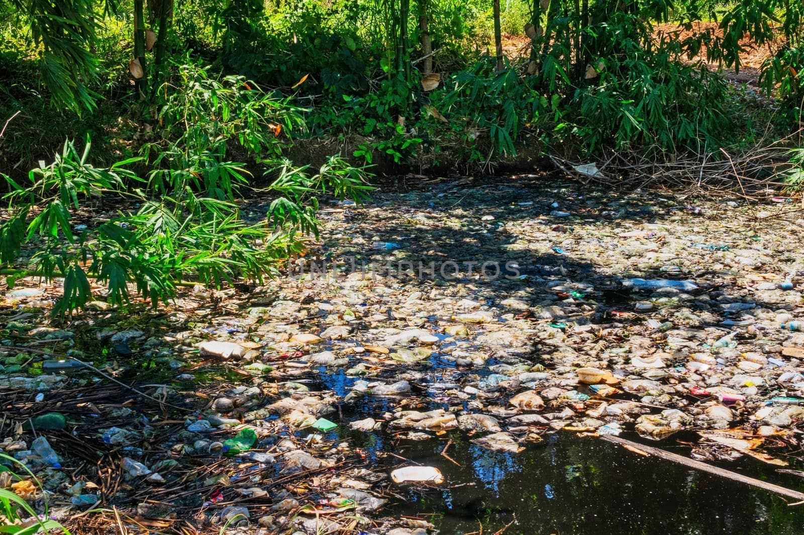 Natural Disaster At Standing Water, illegally dump in nature