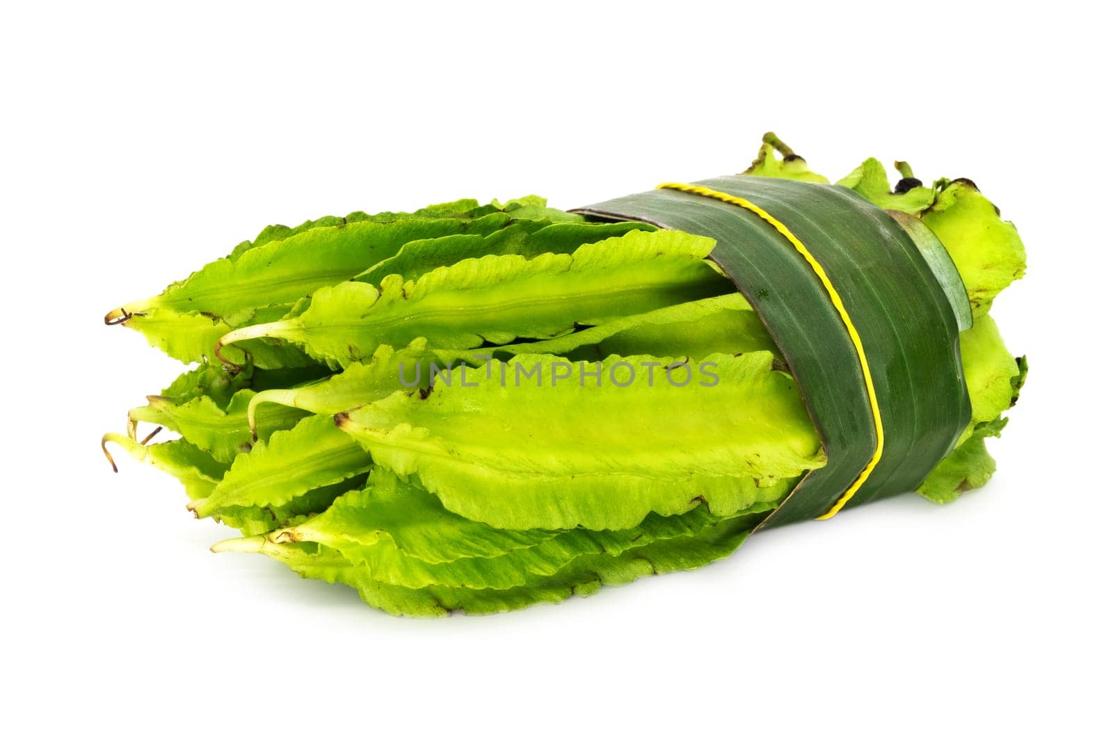 Goa Bean On White Background, close up of green tropical vegetable