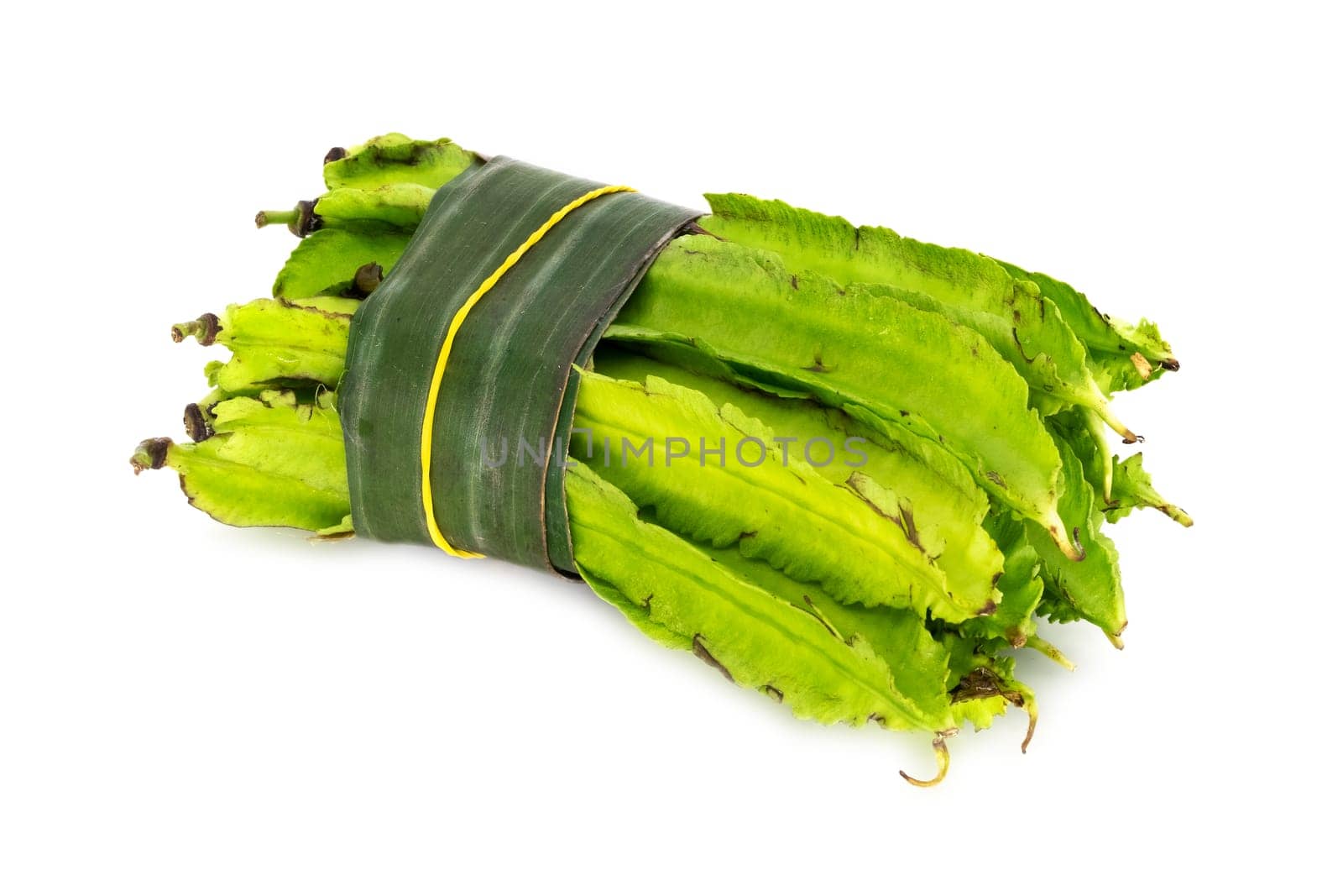 Goa Bean On White Background, close up of green tropical vegetable