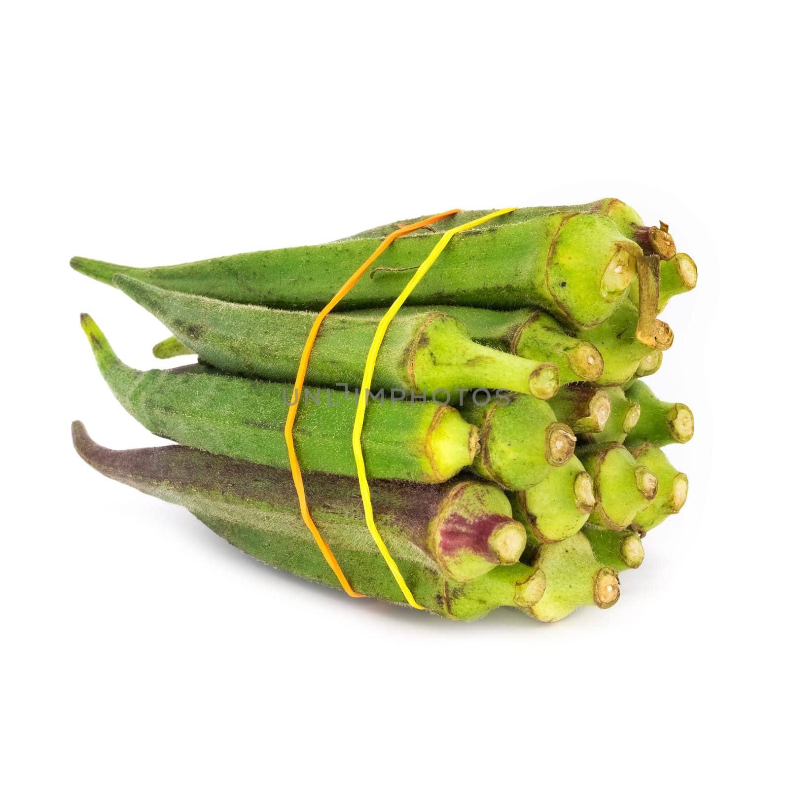 Okra on white background, close up of green vegetable