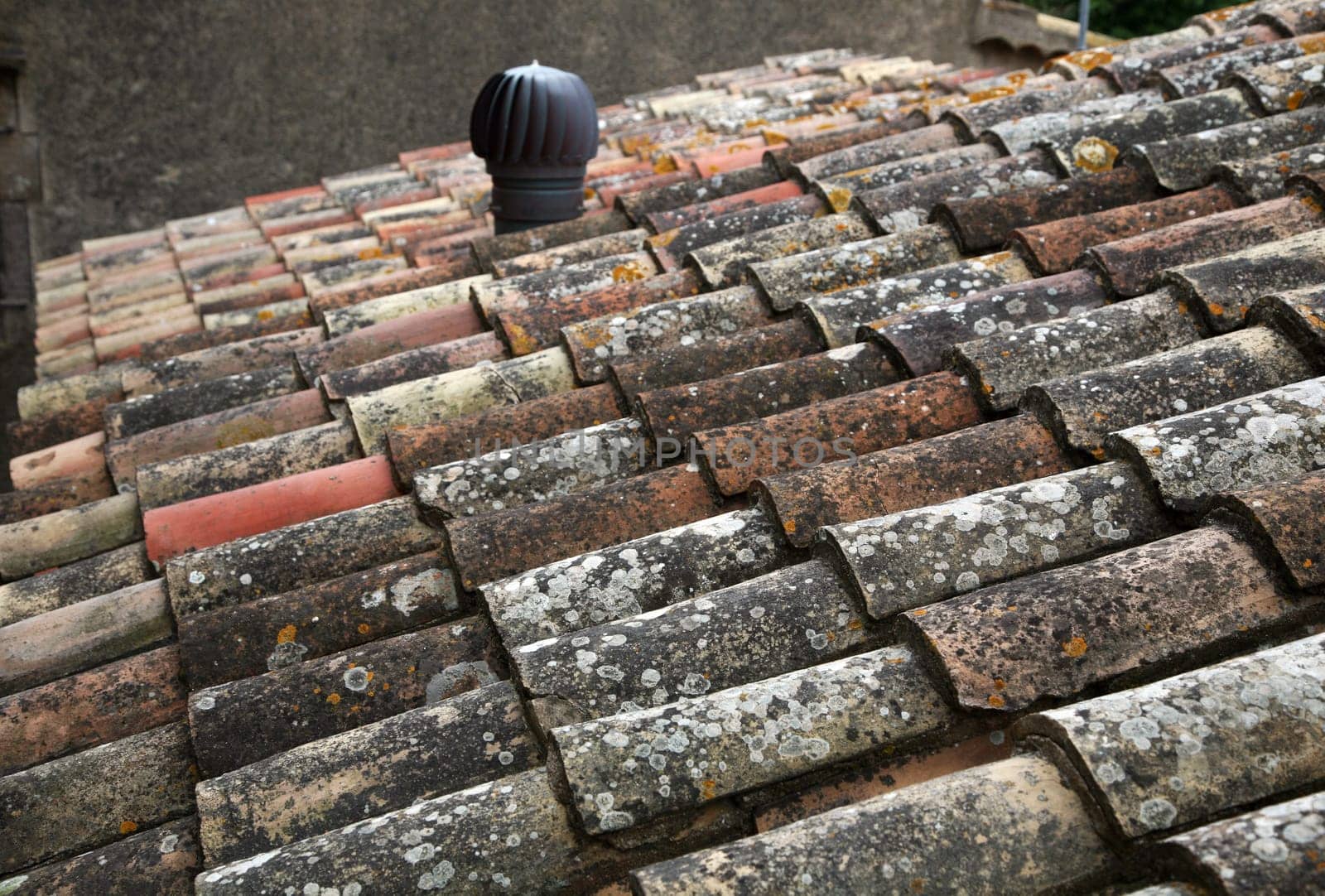 Roof shingles