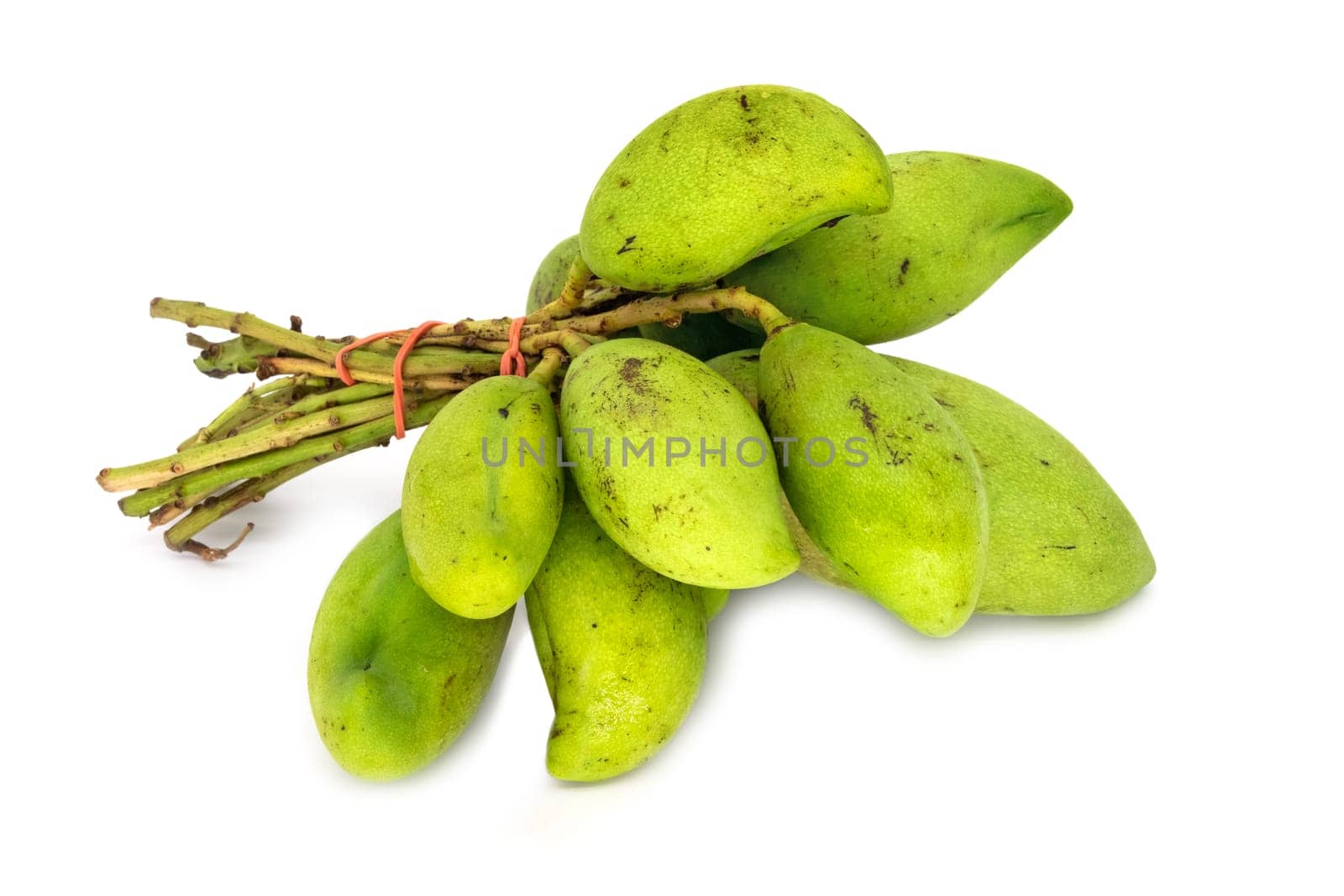 Mango Fruit With Twig, close up of tropical fruit on white background