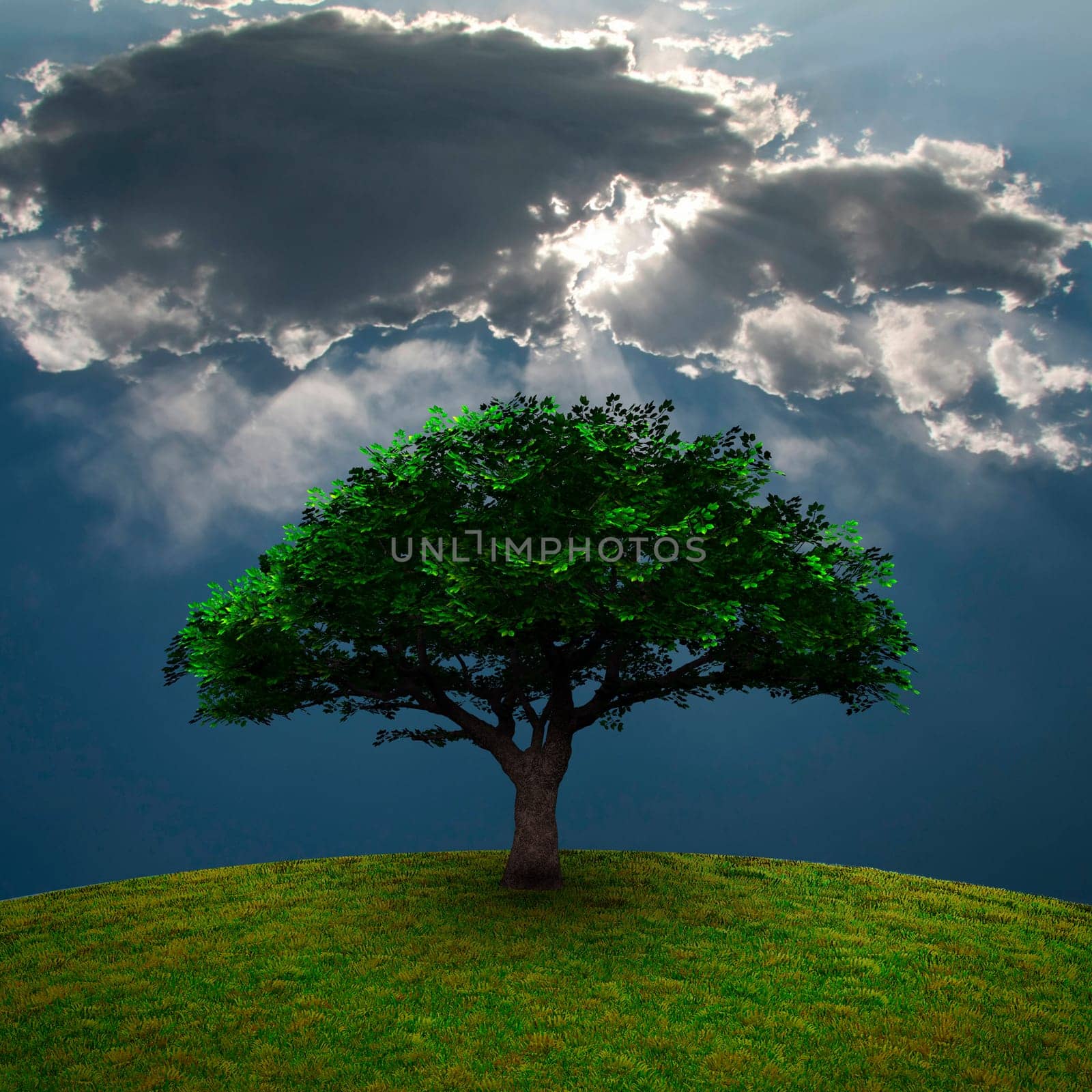 Green Tree. Dramatic clouds. 3D rendering.