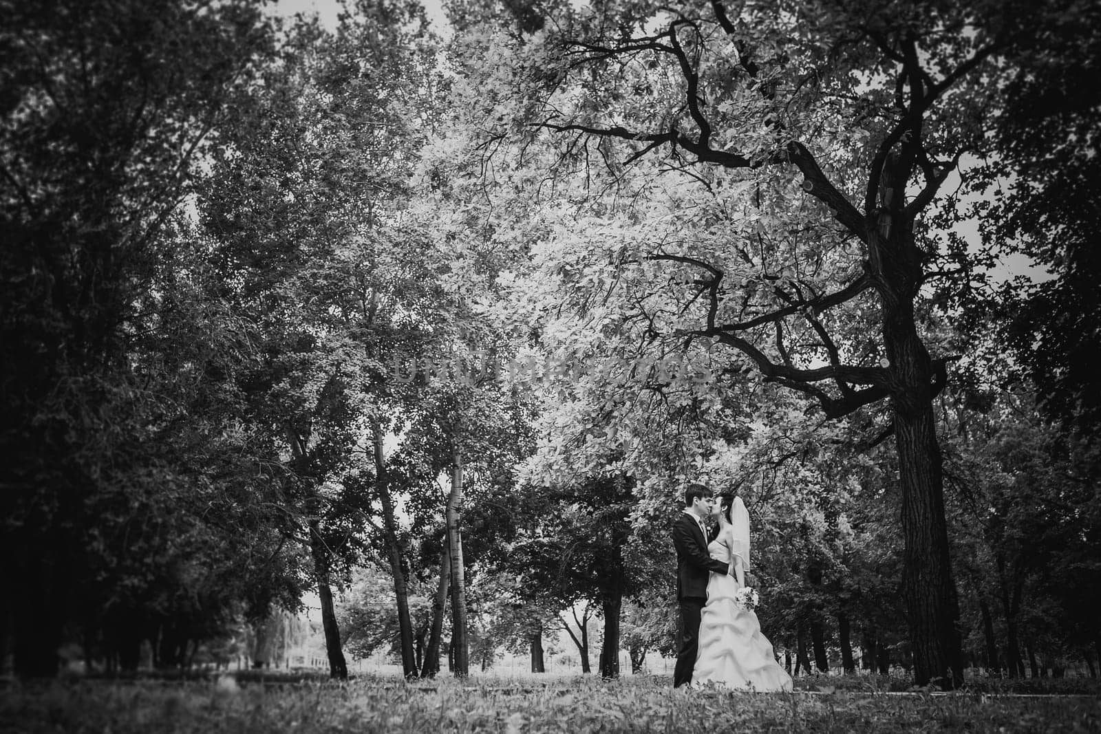 Black white photography beautiful young couple stand on background forest