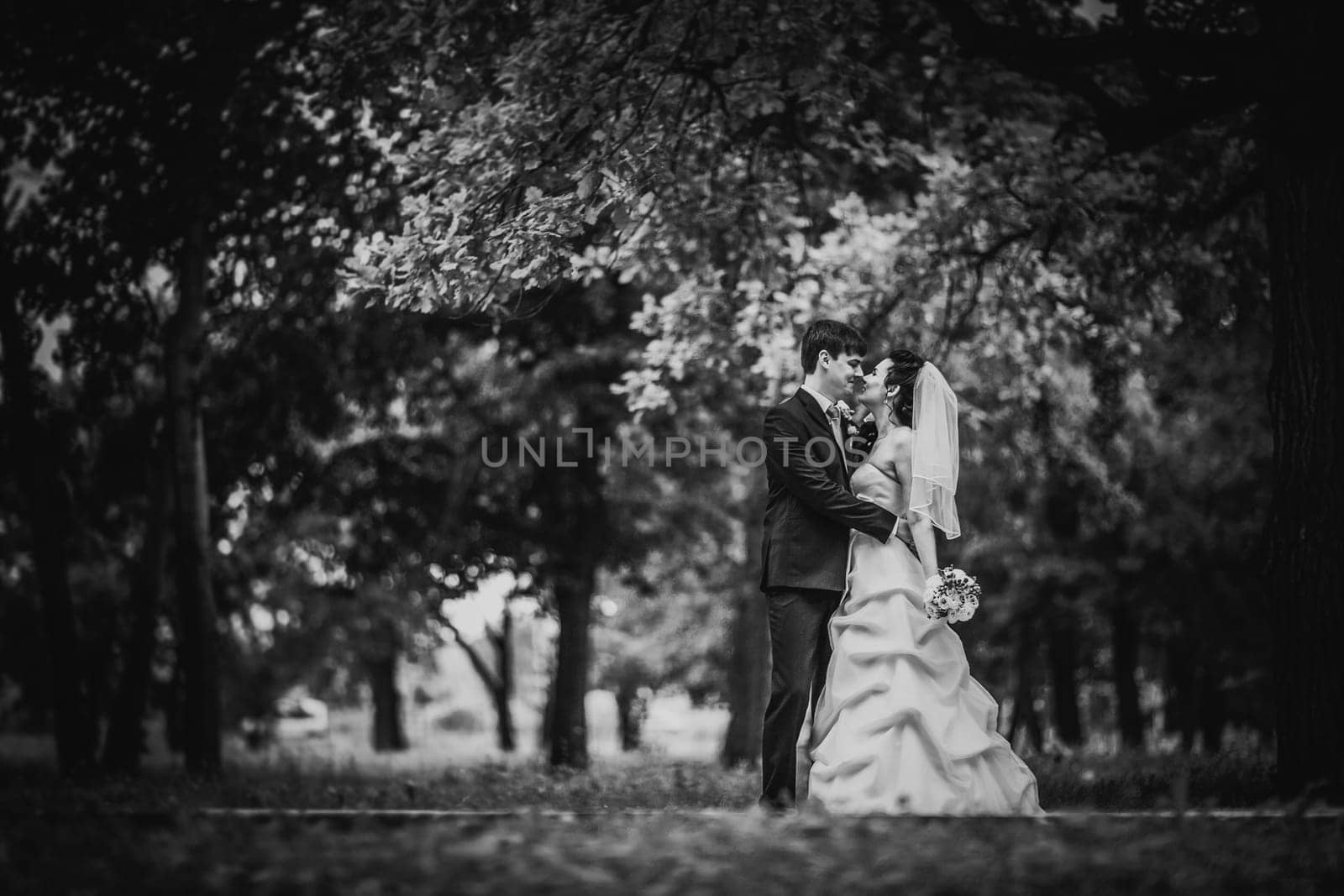 Black white photography beautiful young couple stand on background forest