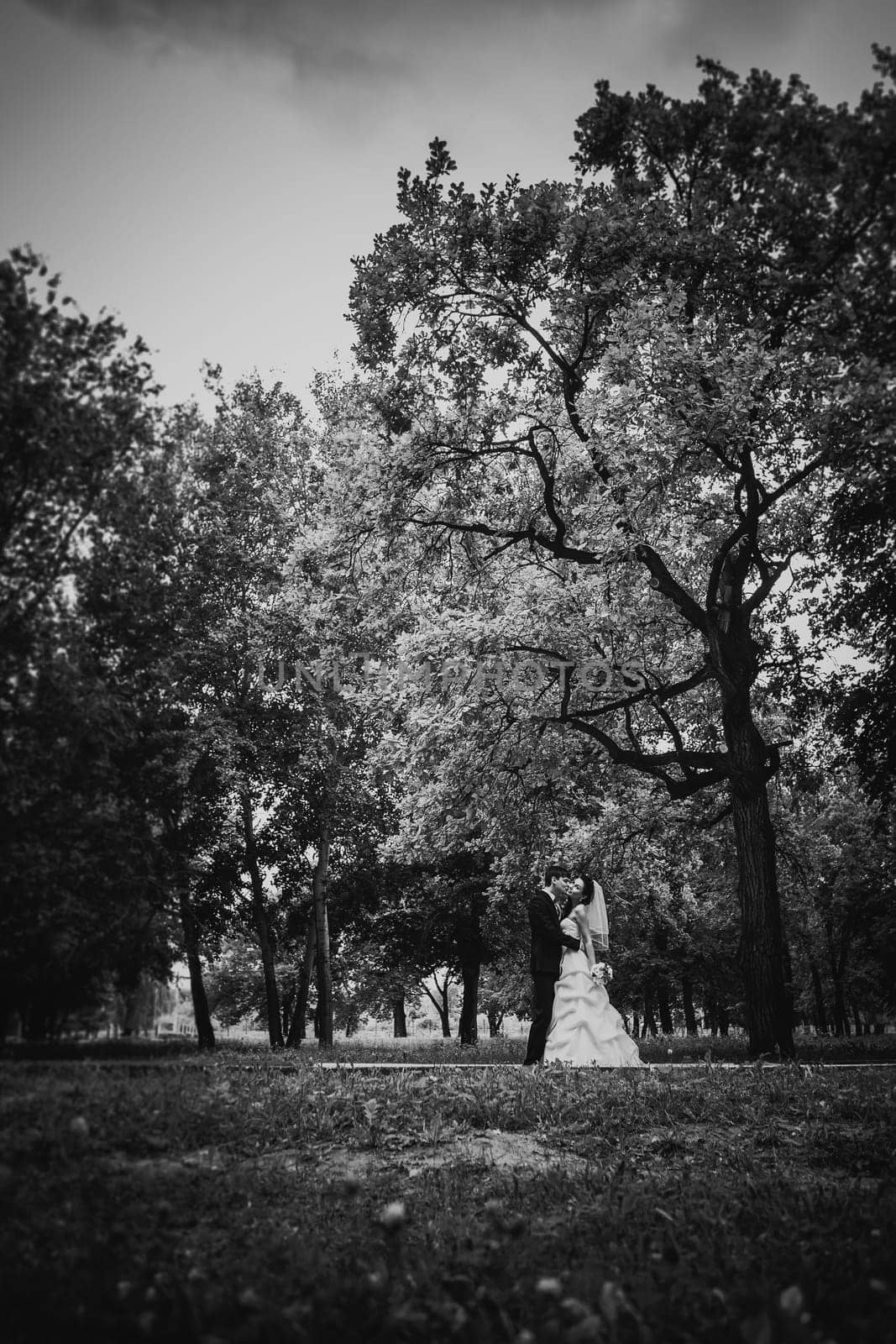 Black white photography beautiful young couple stand on background forest