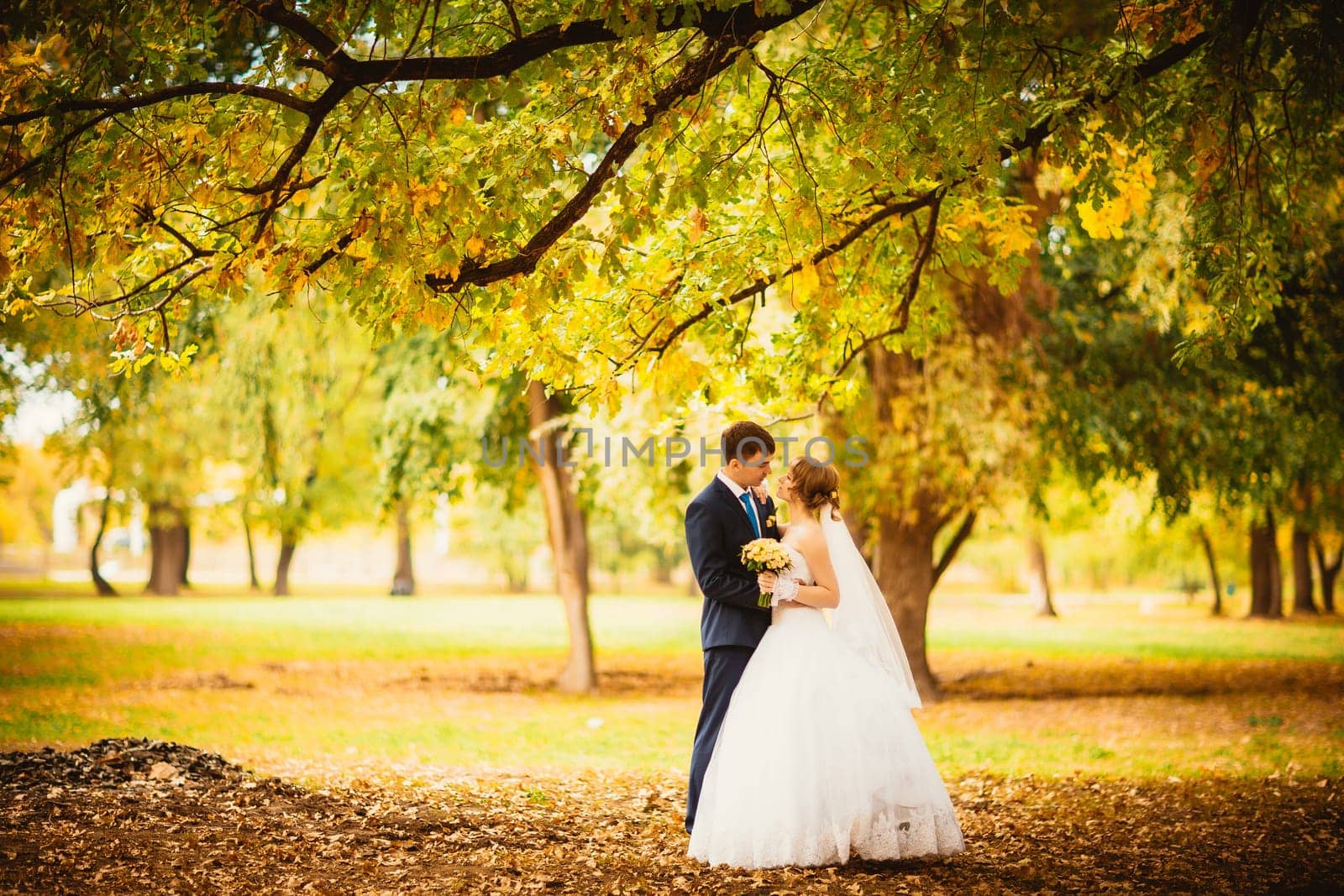 young bride and groom on the background of autumn landscape