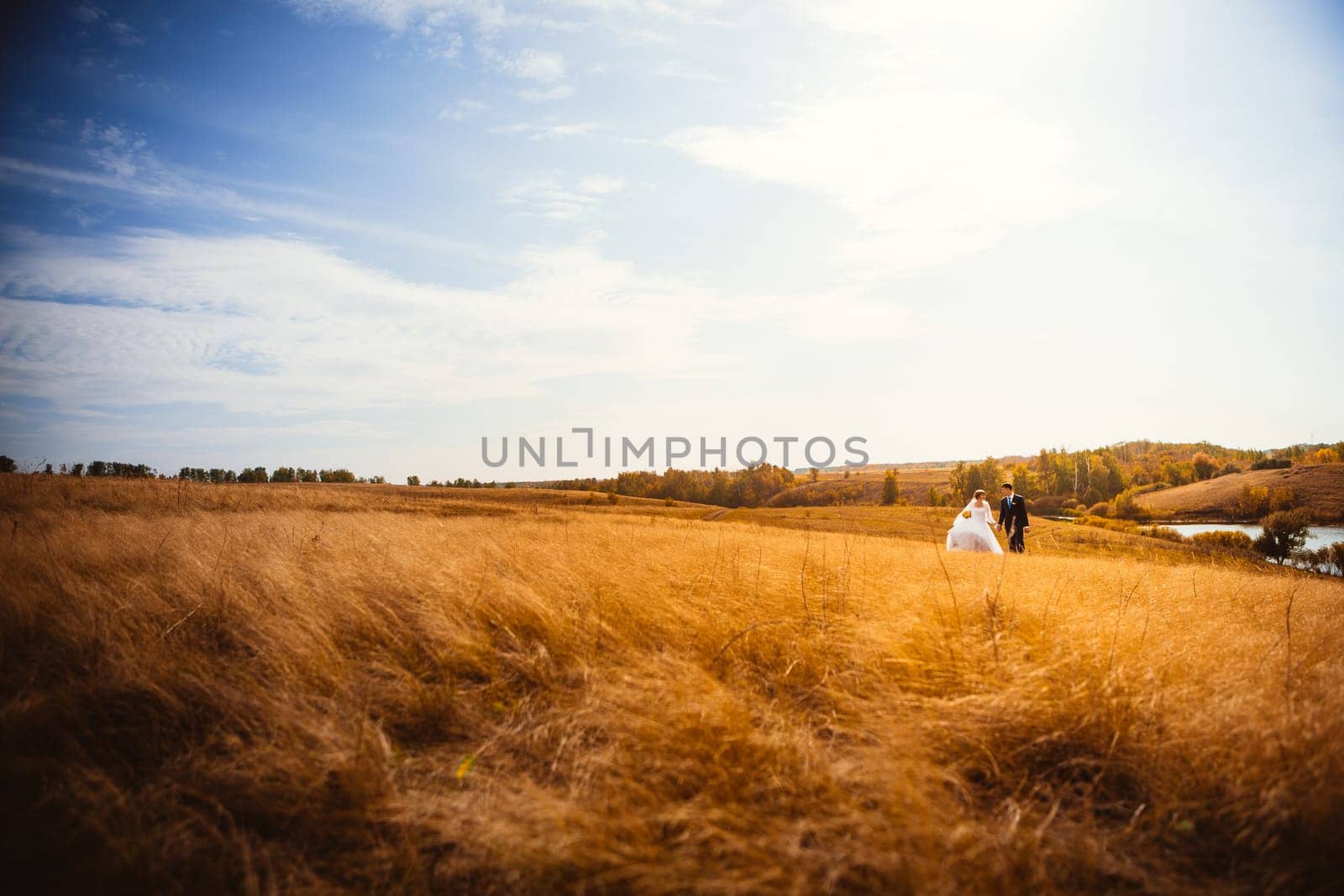 young bride and groom on the background of the field