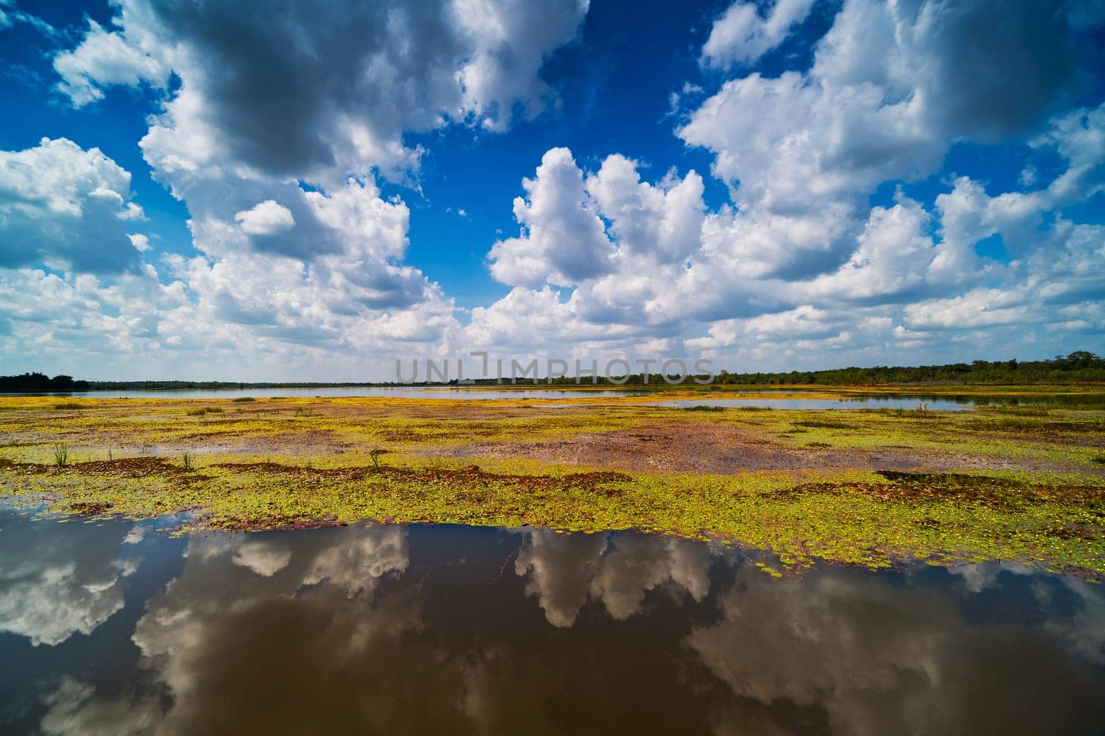 Reflection Lake With Cumulus Clouds, idyllic landscape with standing water