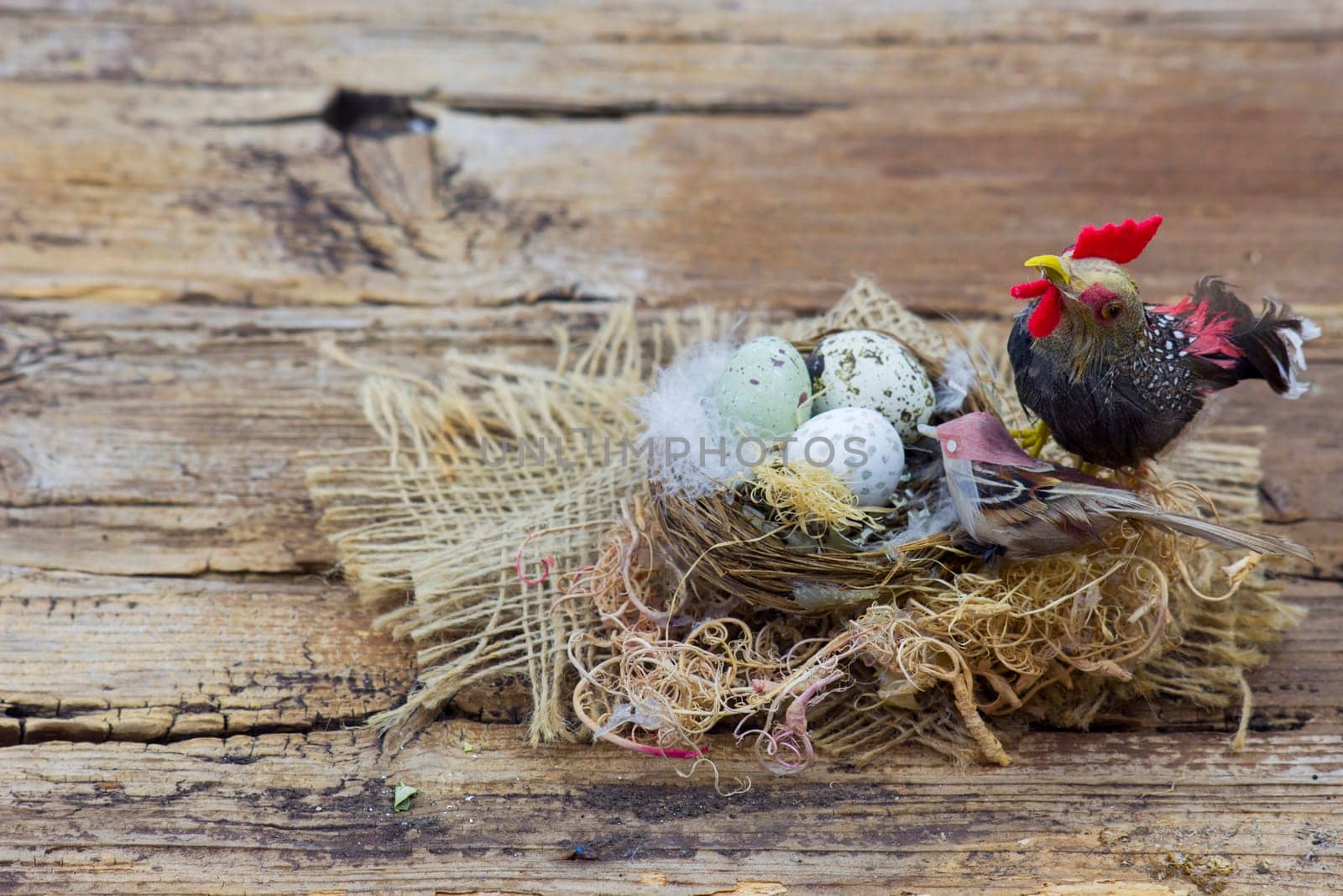 Easter decoration -  eggs in nest and birds