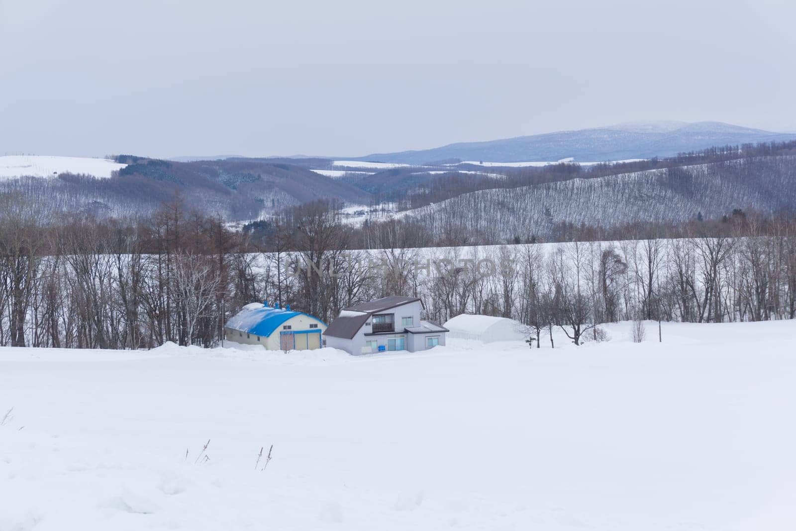 Biei is a small town surrounded by a picturesque landscape of gently rolling hills and vast fields. A pleasant way to enjoy the charm of Biei is by cycling or driving through the hills and visiting some of the flower fields and famous trees along the way.