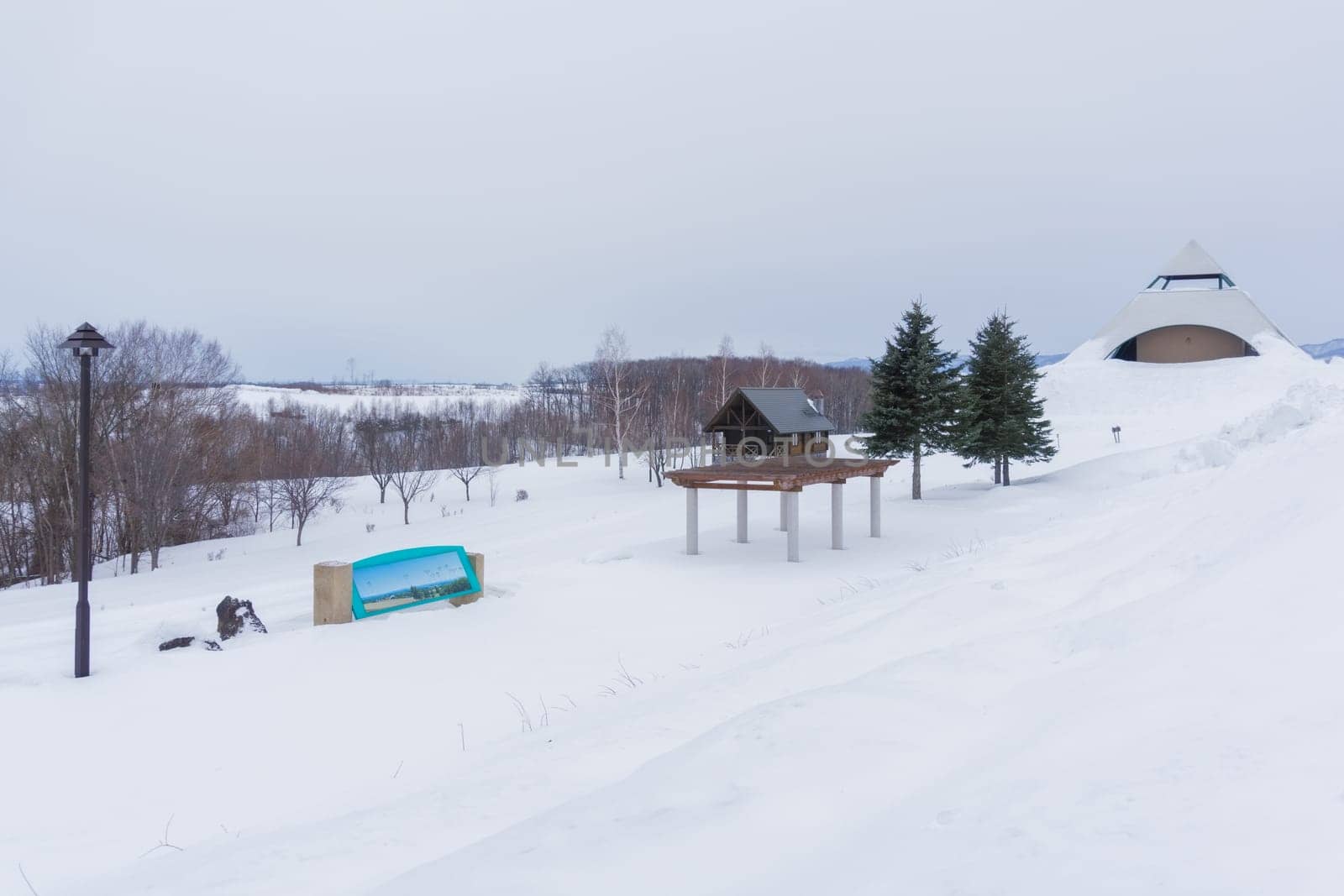 Biei is a small town surrounded by a picturesque landscape of gently rolling hills and vast fields. A pleasant way to enjoy the charm of Biei is by cycling or driving through the hills and visiting some of the flower fields and famous trees along the way.