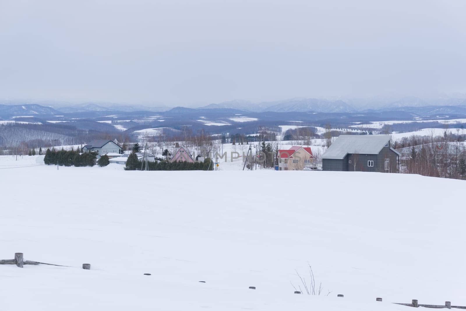 Biei is a small town surrounded by a picturesque landscape of gently rolling hills and vast fields. A pleasant way to enjoy the charm of Biei is by cycling or driving through the hills and visiting some of the flower fields and famous trees along the way.