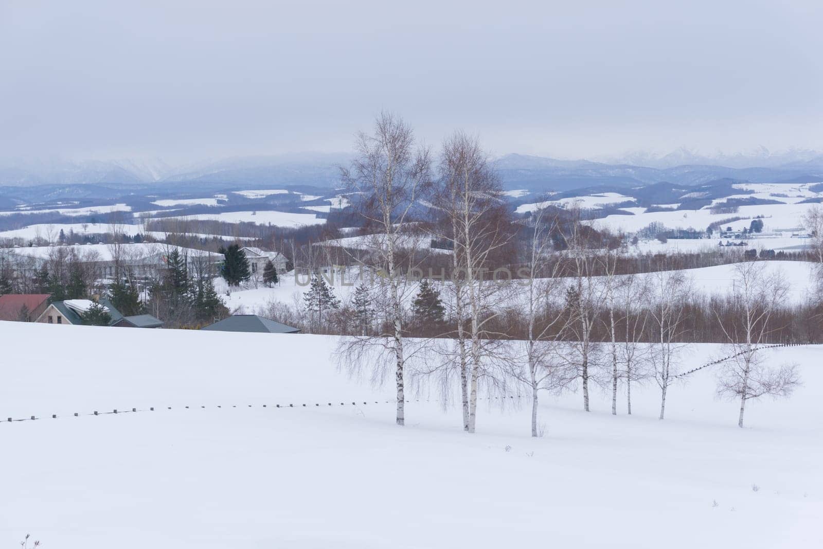 Biei is a small town surrounded by a picturesque landscape of gently rolling hills and vast fields. A pleasant way to enjoy the charm of Biei is by cycling or driving through the hills and visiting some of the flower fields and famous trees along the way.