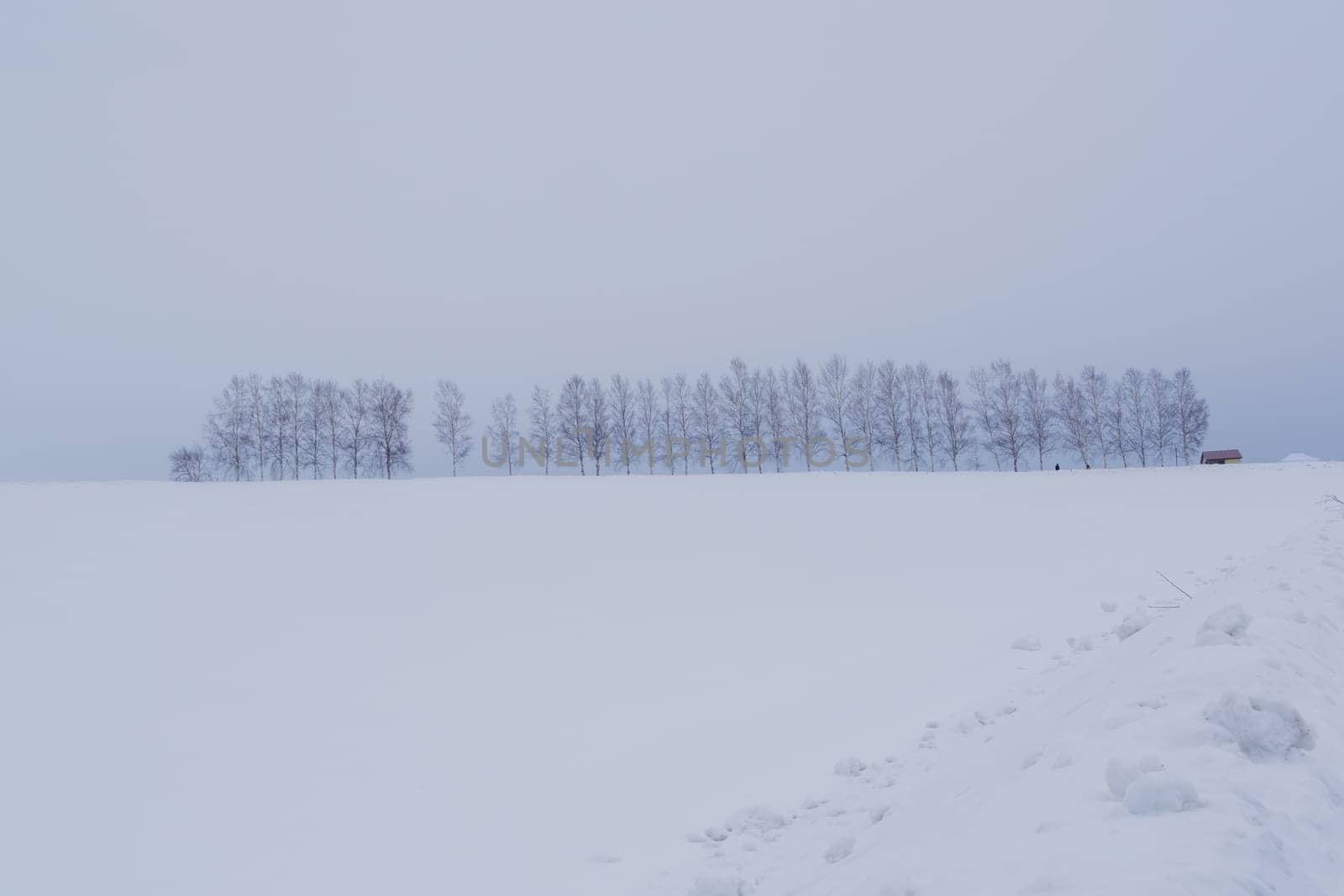 Biei is a small town surrounded by a picturesque landscape of gently rolling hills and vast fields. A pleasant way to enjoy the charm of Biei is by cycling or driving through the hills and visiting some of the flower fields and famous trees along the way.