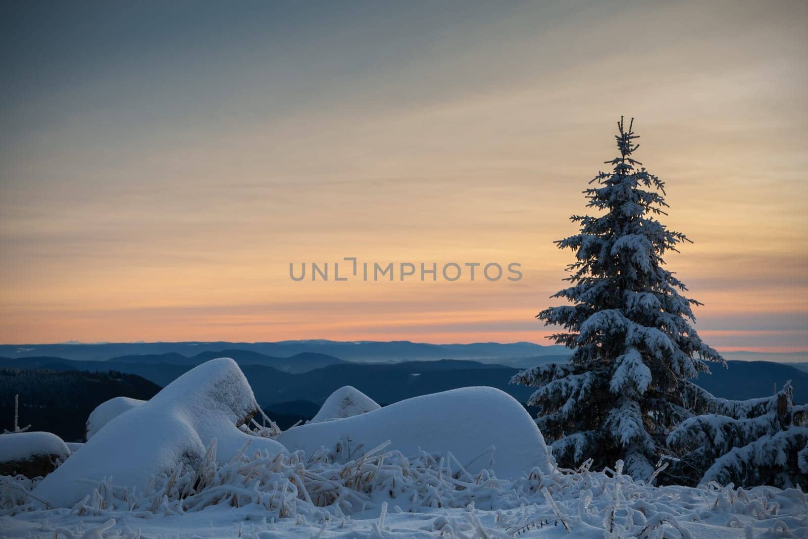 winter in the black forest