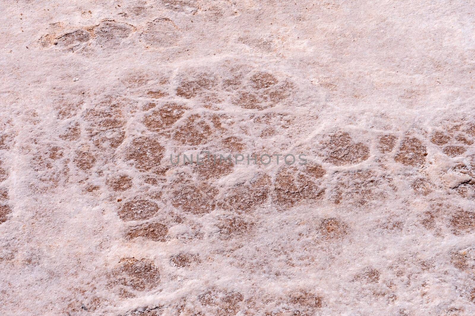 Salt Deposits on a Desert Basin in Badwater Basin in Death Valley National Park in California