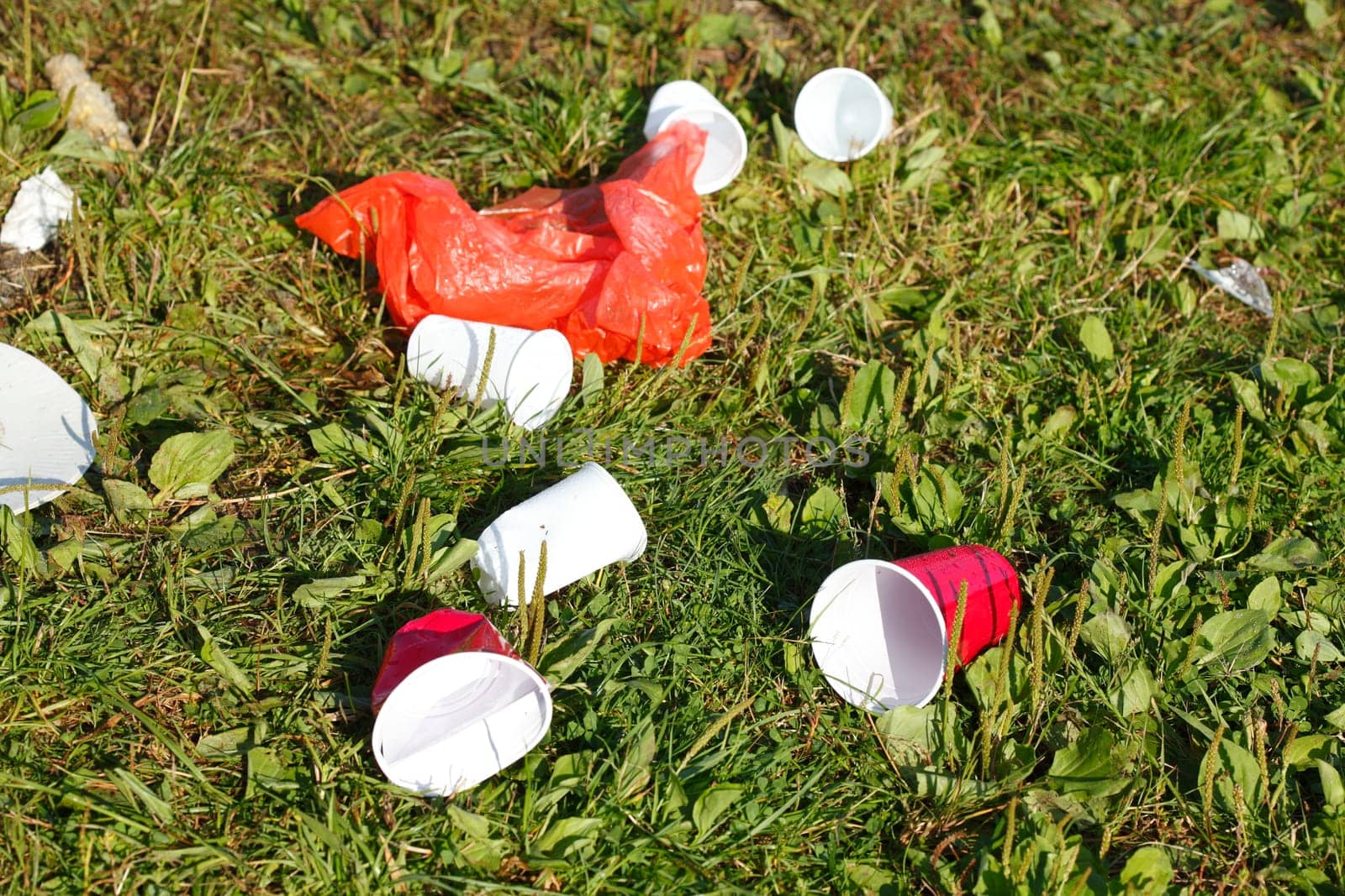 Garbage, rubbish after the Party on a meadow