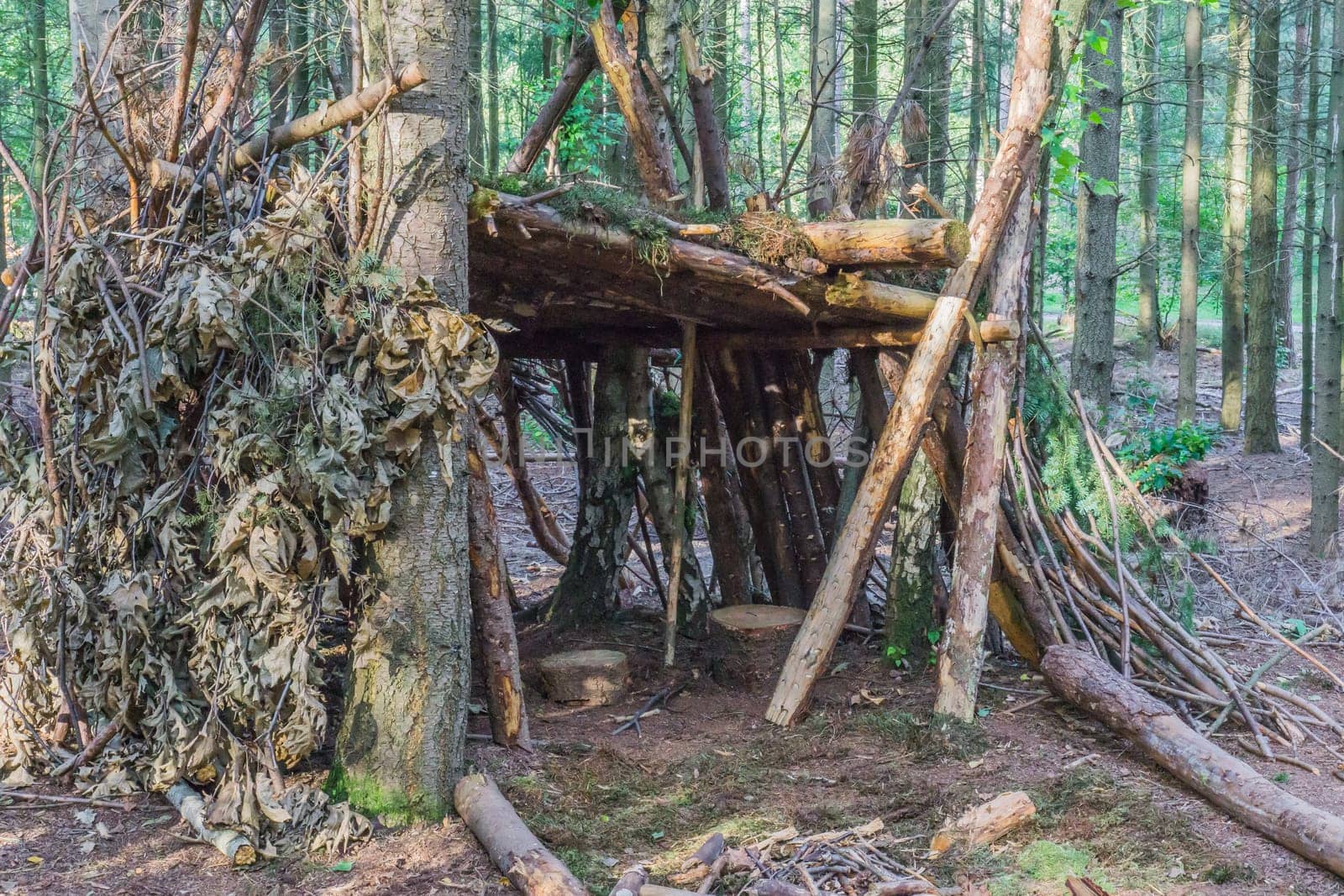 self build tree hut of branches and leaves with seats