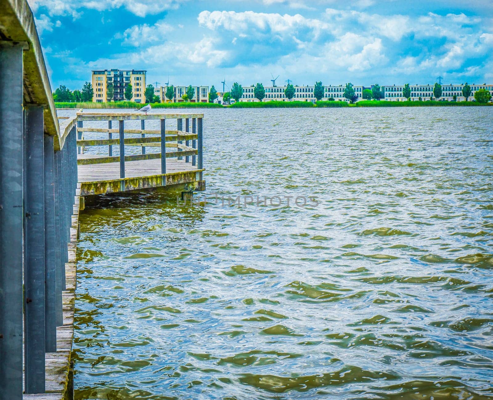 pier with sea gull and city view