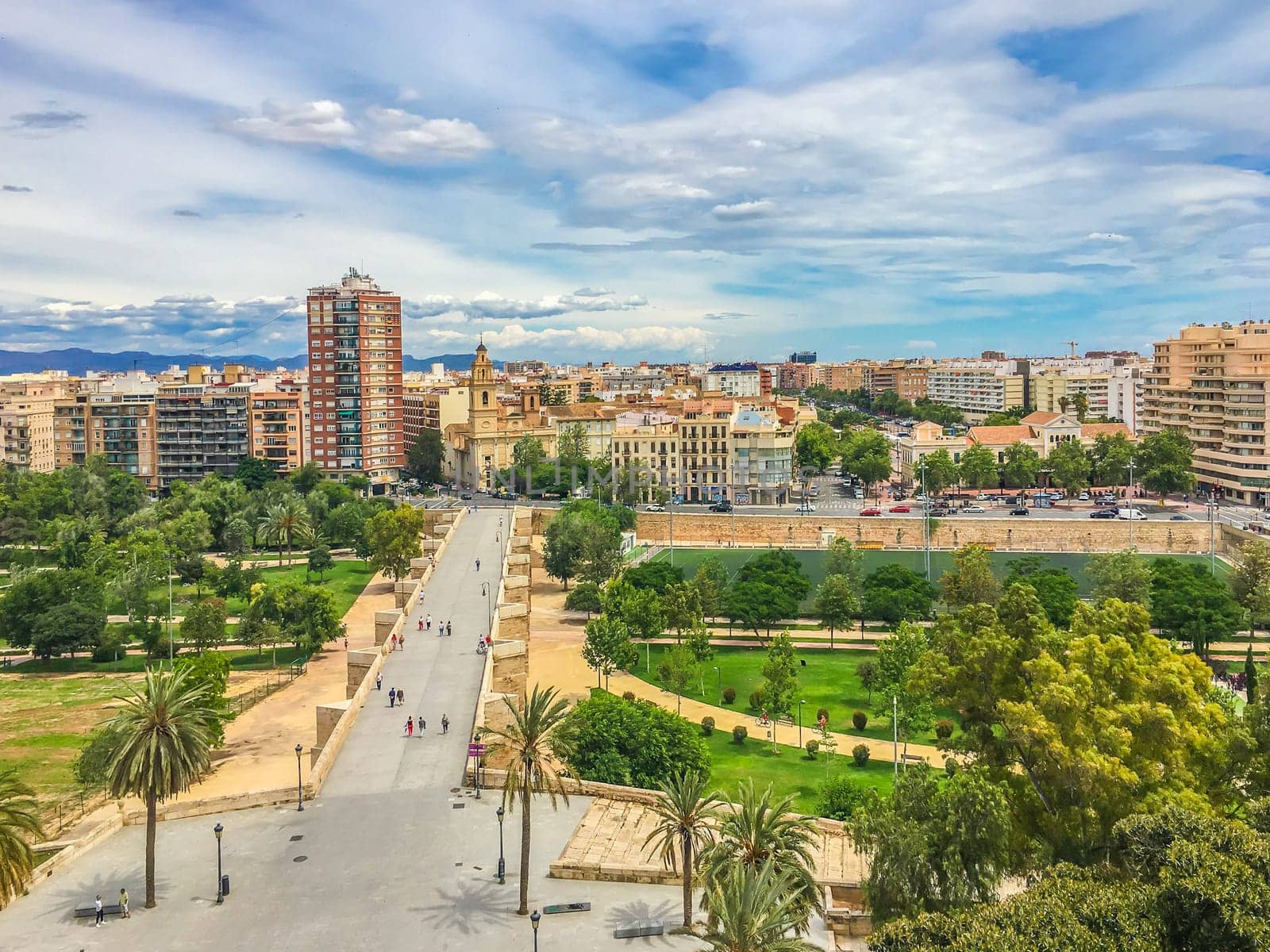beautiful bridge with park and city skyline view in Valencia spain