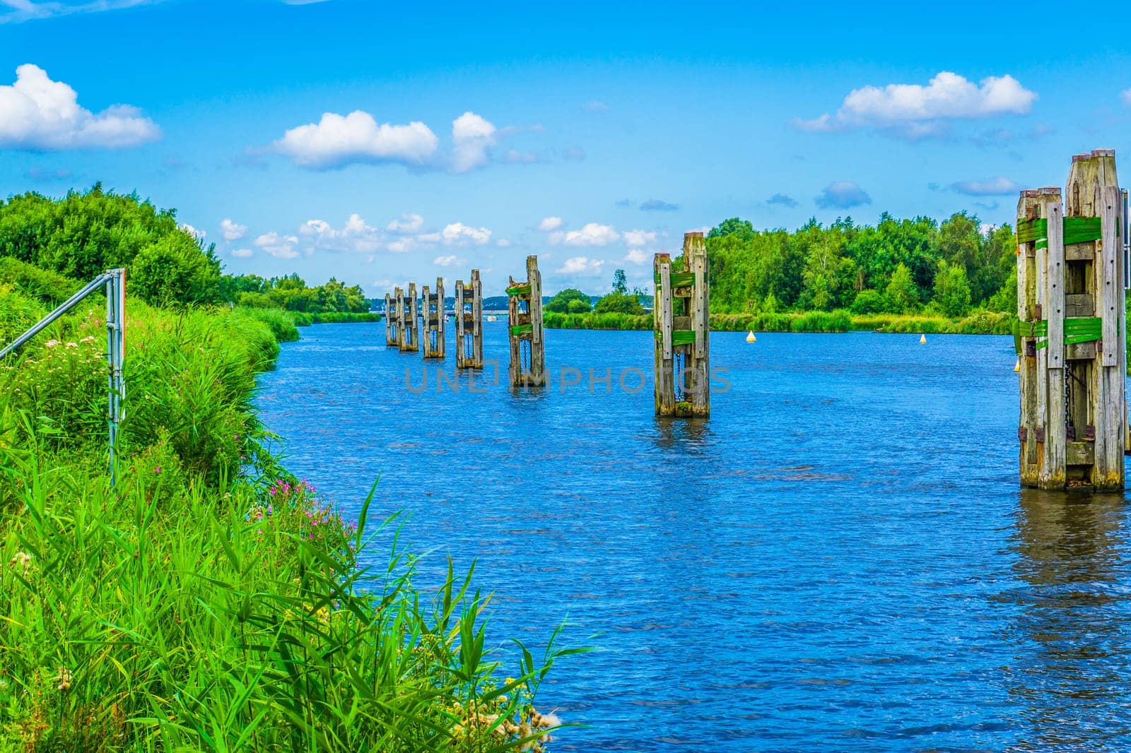 beautiful river landscape with wooden poles in the water