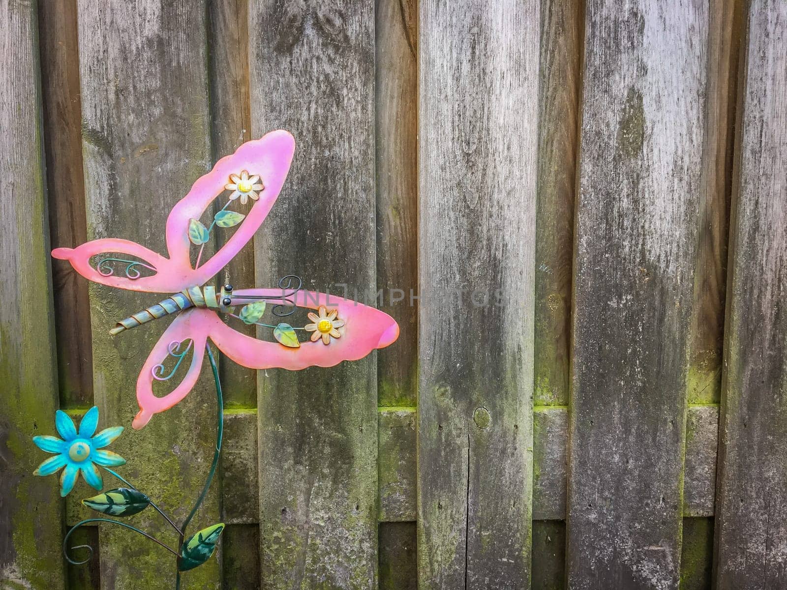 cute pink butterfly garden decoration with palisade background