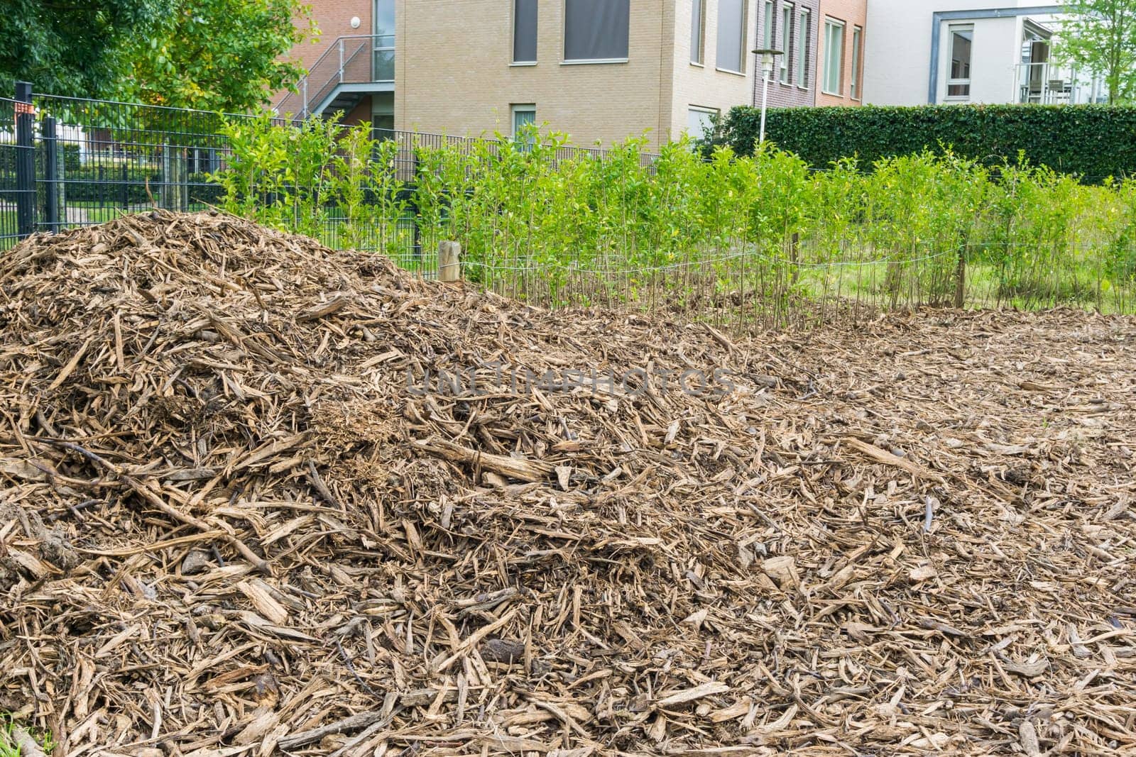 wood chips on a big heap close up