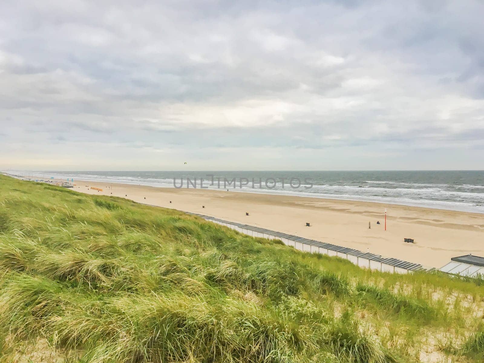 sea coast view of egmond beach dune