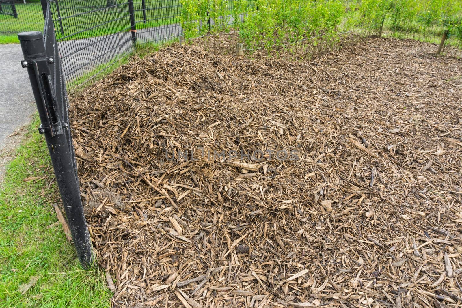 wood chips on a big heap distance view