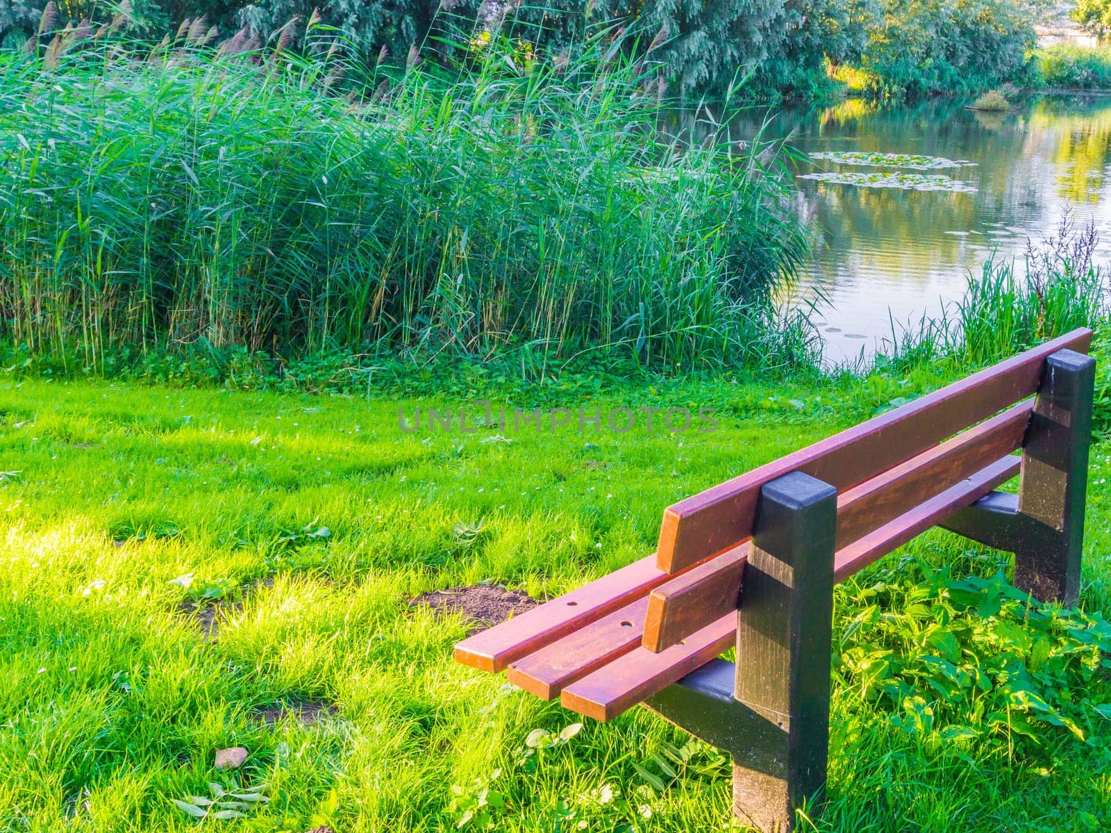 brown park bench at the park lake
