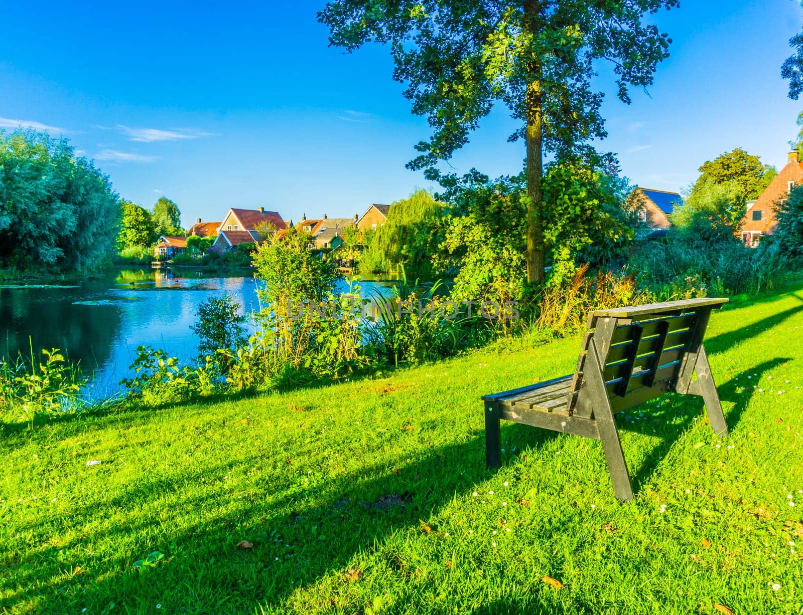 tiny wooden park bench at the park pond beautiful landscape photo