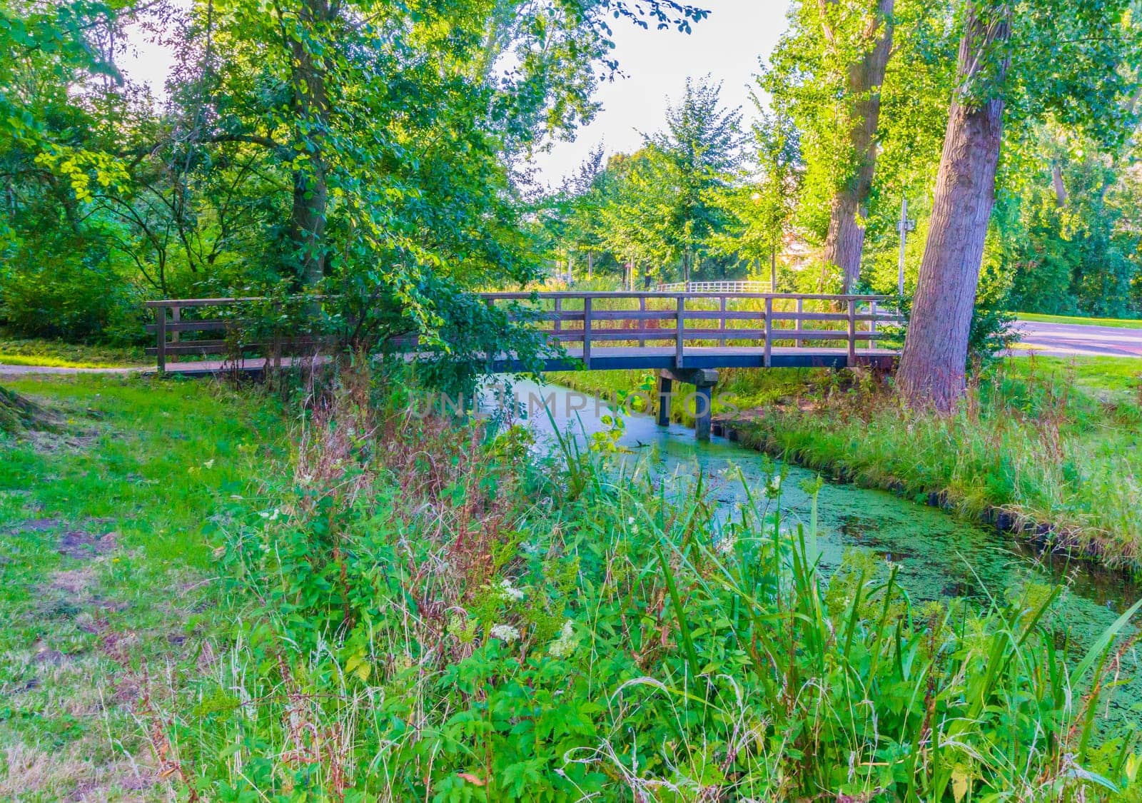 wooden bridge to cross over the river in a forest landscape