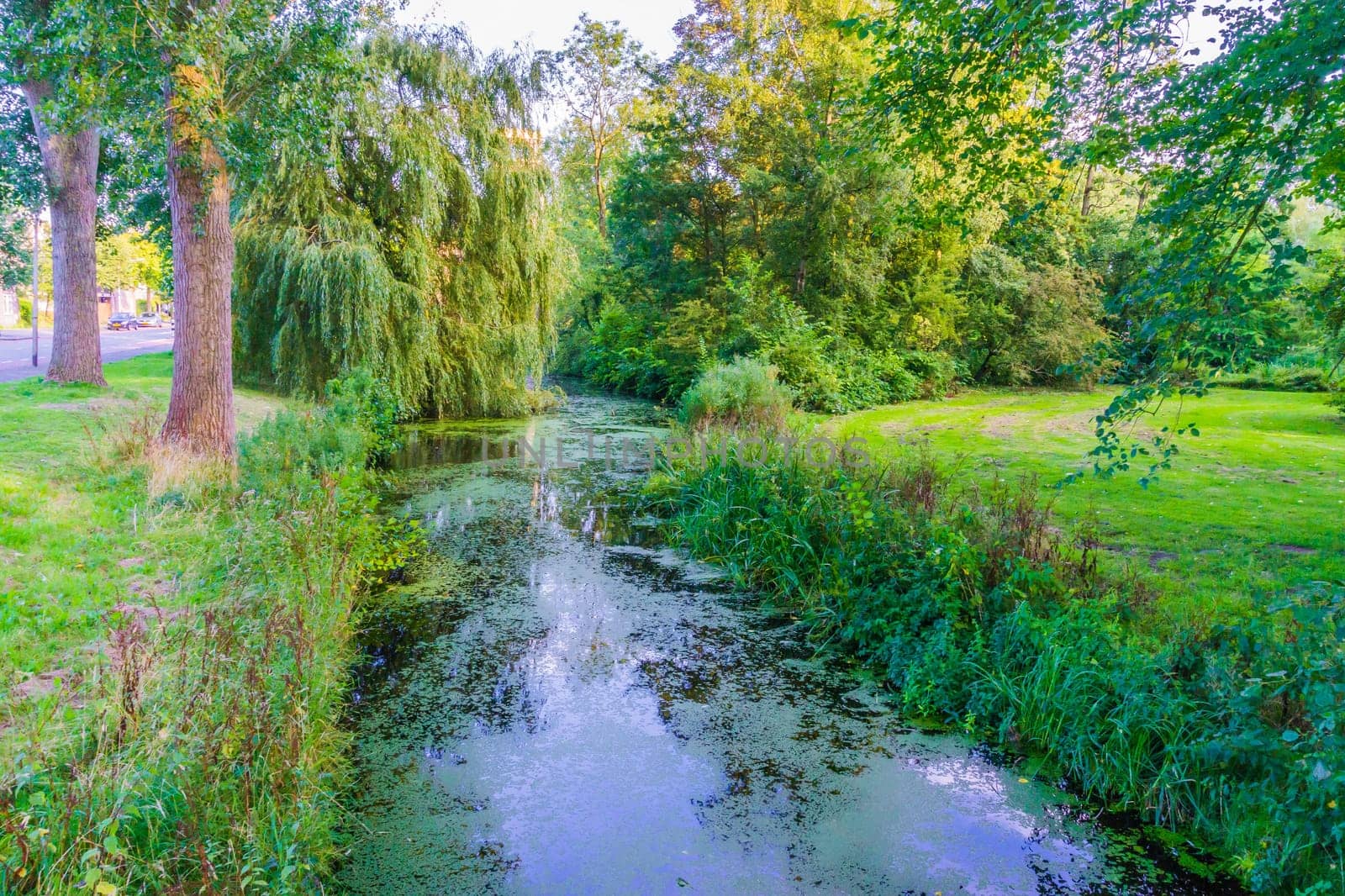 beautiful river in a water park landscape