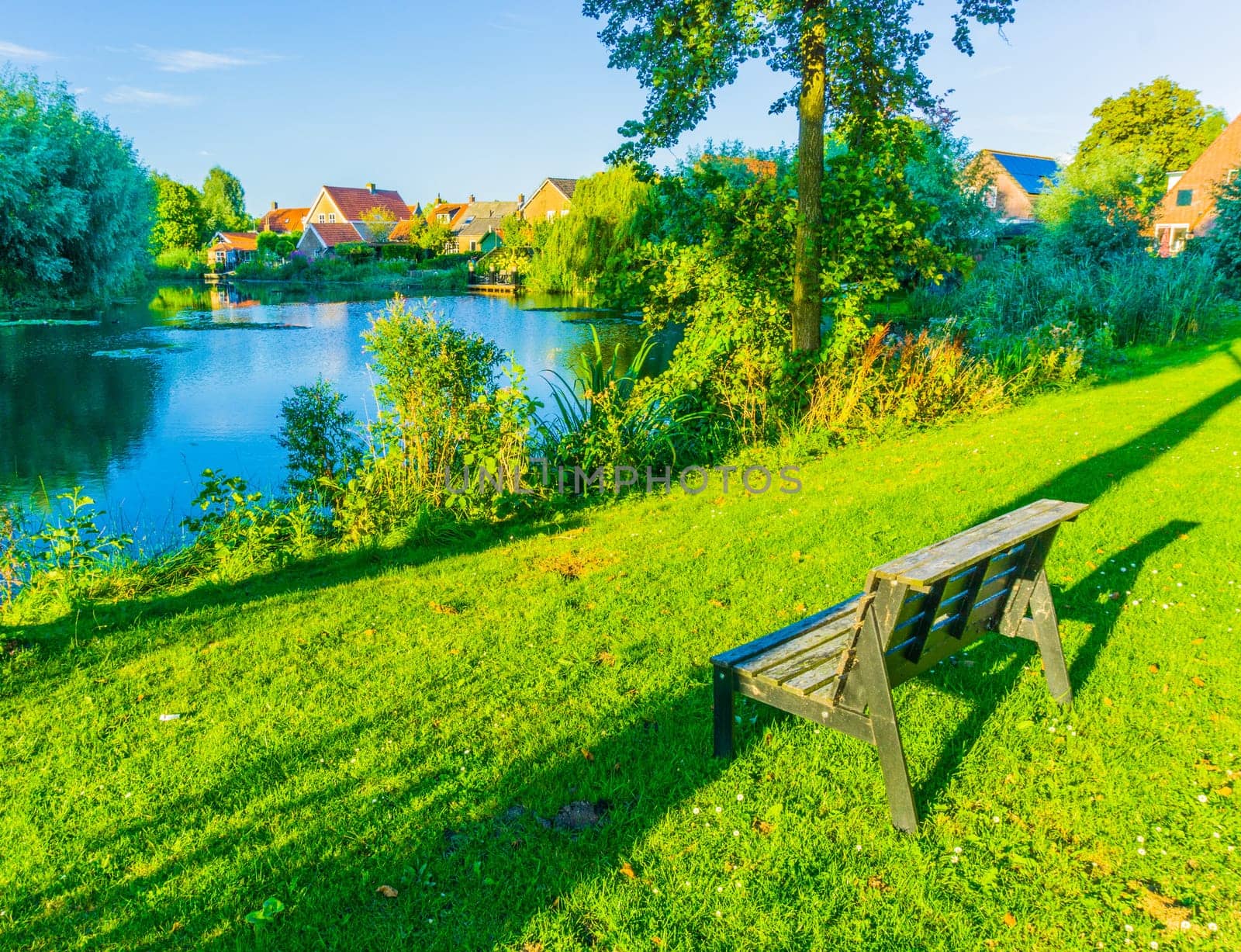 small wooden bench in a beautiful park with lake landscape