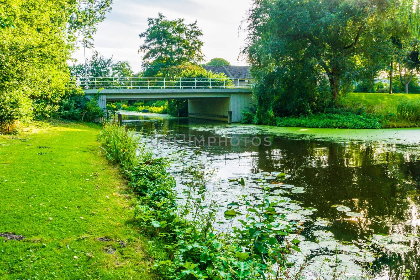 Water landscape with a river, bridge and grass lawn