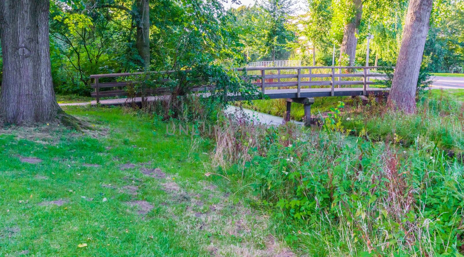 wooden bridge to cross over the river with grass and trees