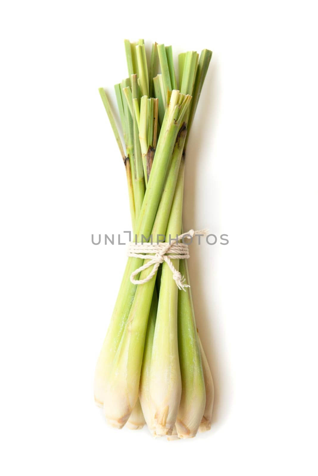 Fresh green lemongrass tied with rope, isolated on white background.