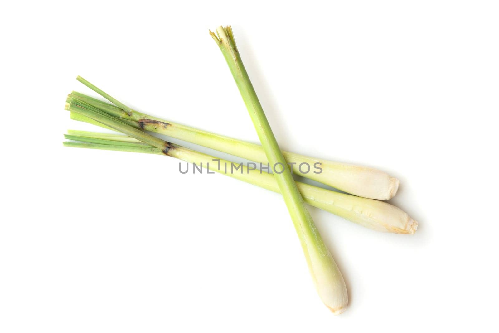 Fresh green lemongrass isolated on white background.