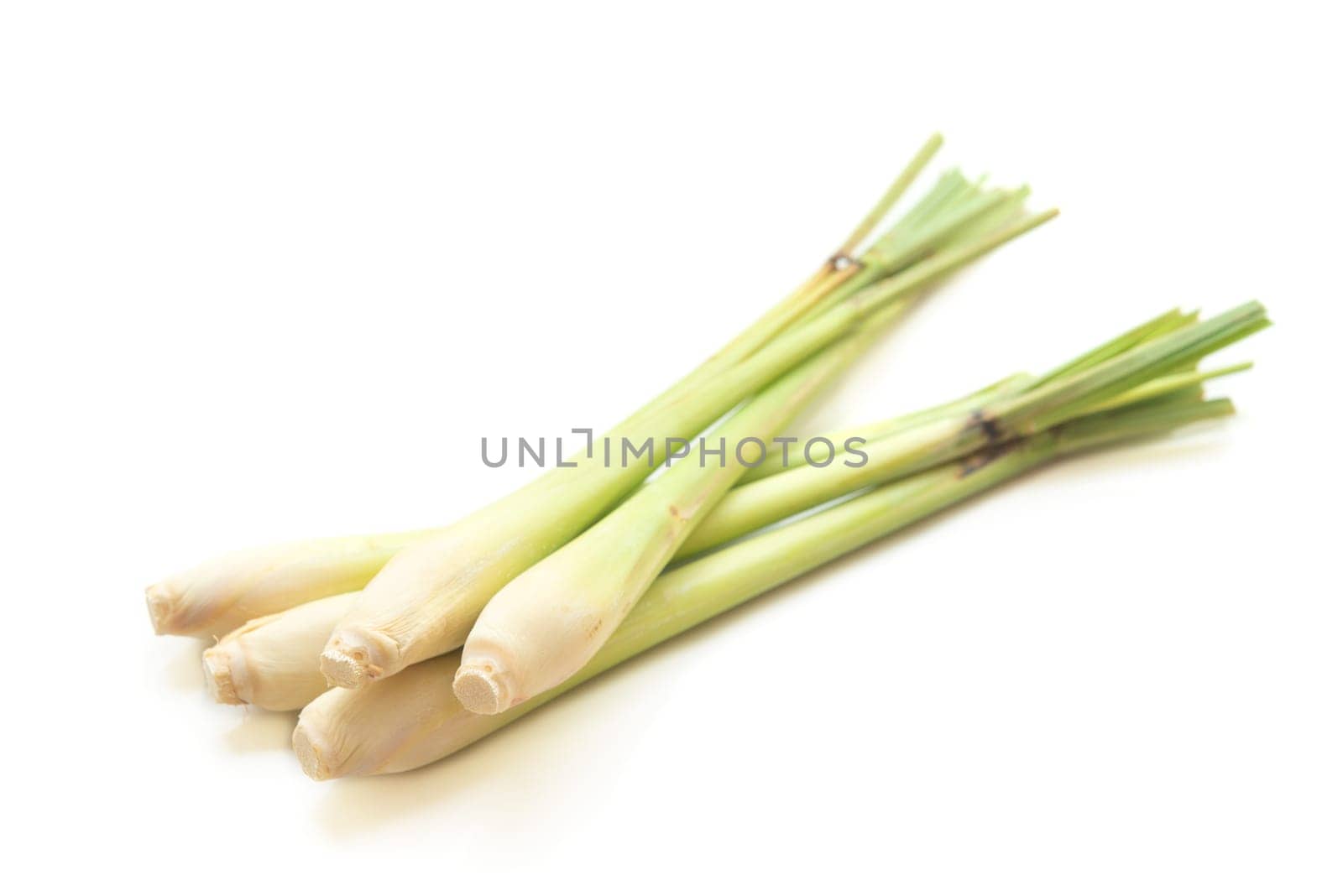 Fresh green lemongrass isolated on white background.