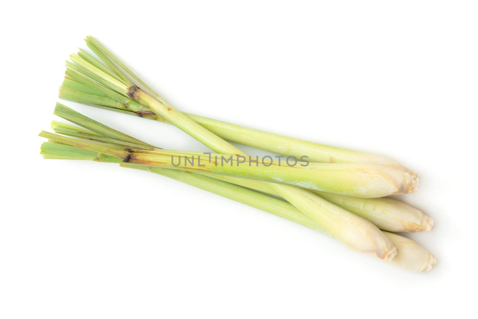 Fresh green lemongrass isolated on white background.