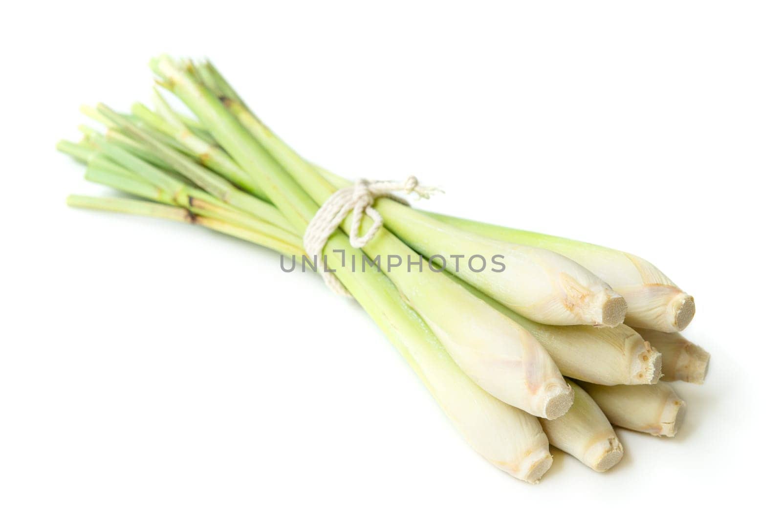 Fresh green lemongrass tied with rope, isolated on white background.