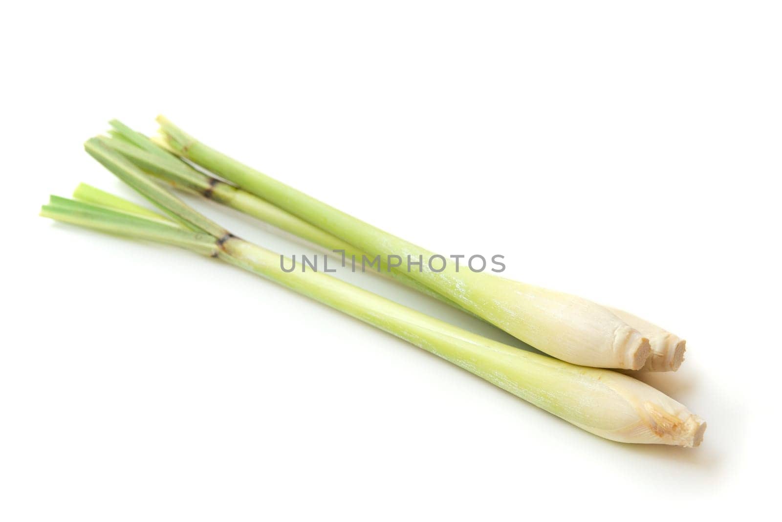 Fresh green lemongrass isolated on white background.
