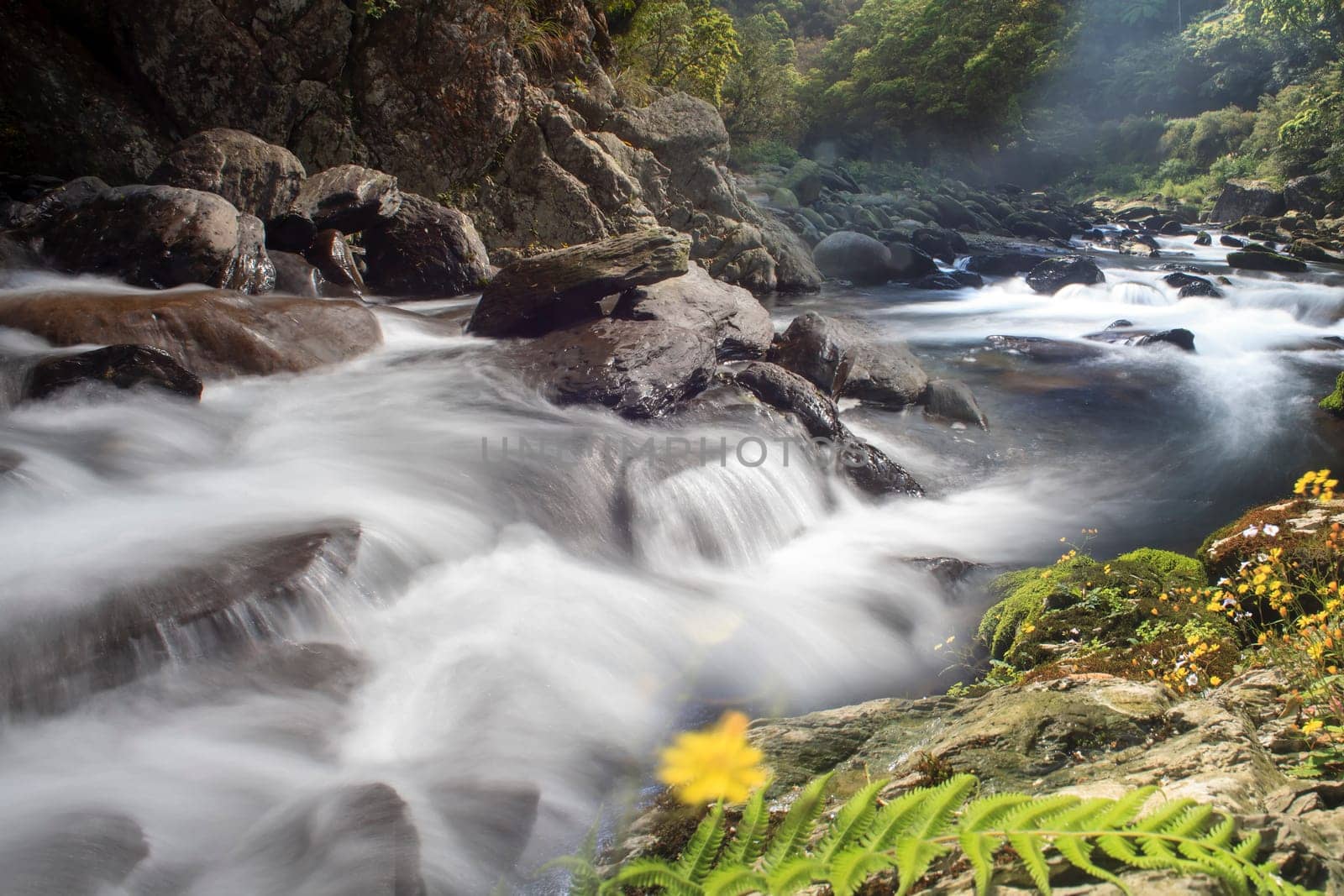 The Picture of some small waterfall at a nature river