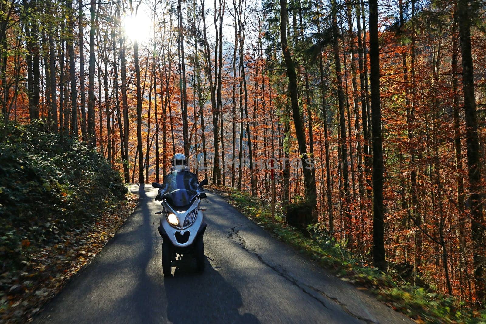 A man drives an MP3 scooter down a street in autumn. Motorsport in the autumn forest
