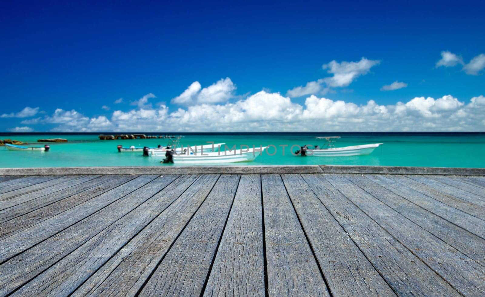 beautiful beach and tropical sea